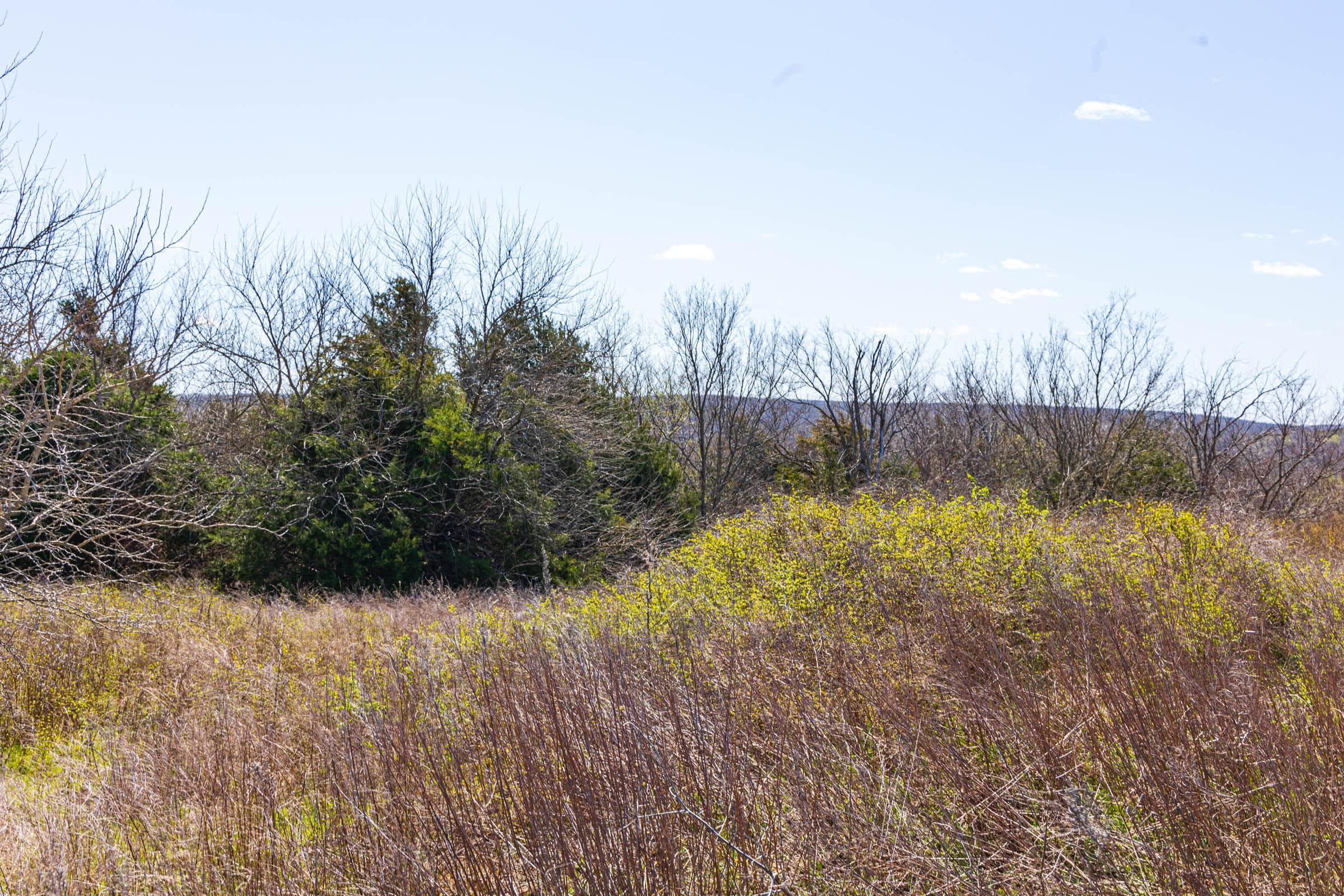 Reserves At Cattail Cove Phase I — Zero Credit Land owner financed land for sale in Pittsburg County, Oklahoma photo 50