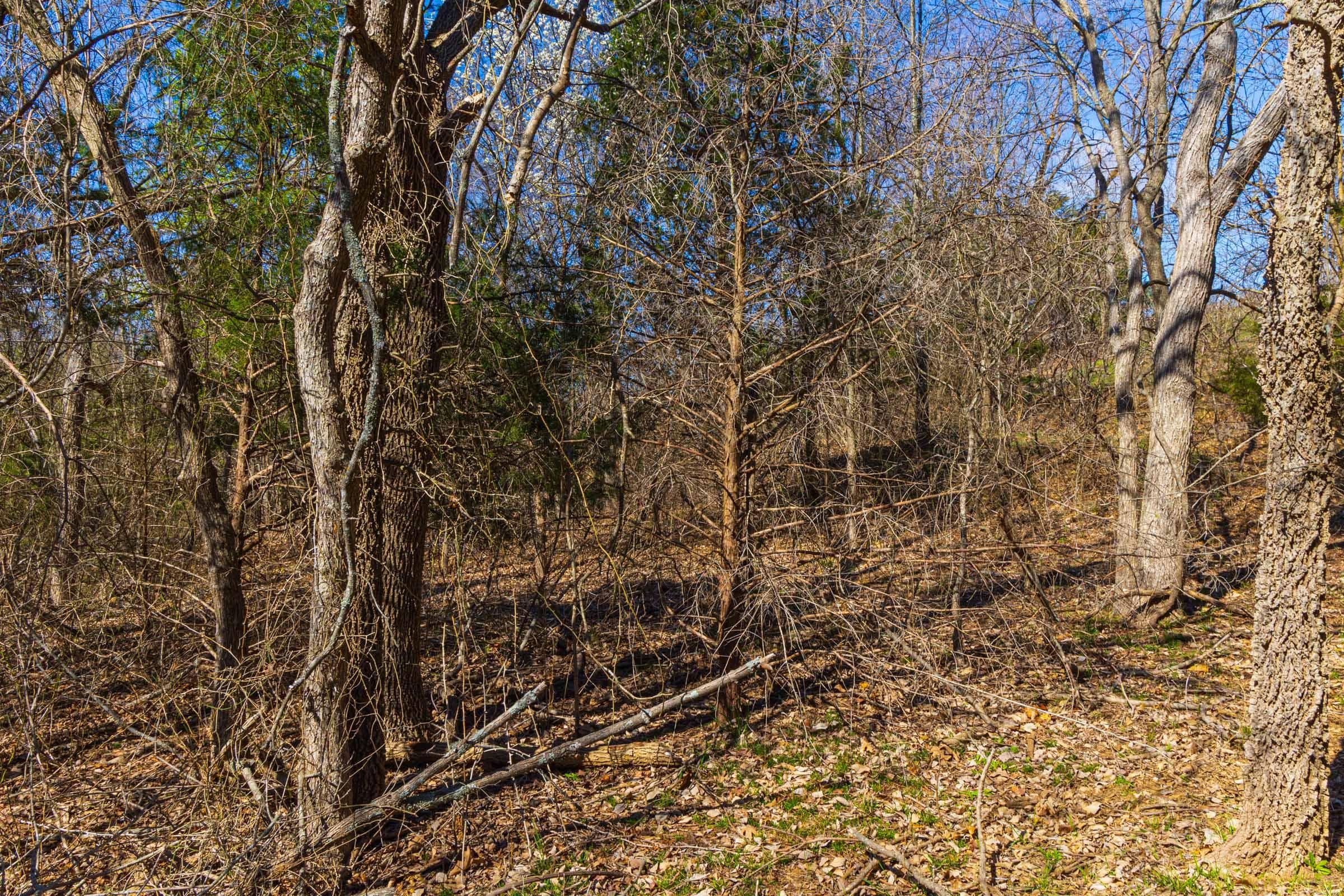 Reserves At Cattail Cove Phase I — Zero Credit Land owner financed land for sale in Pittsburg County, Oklahoma photo 53