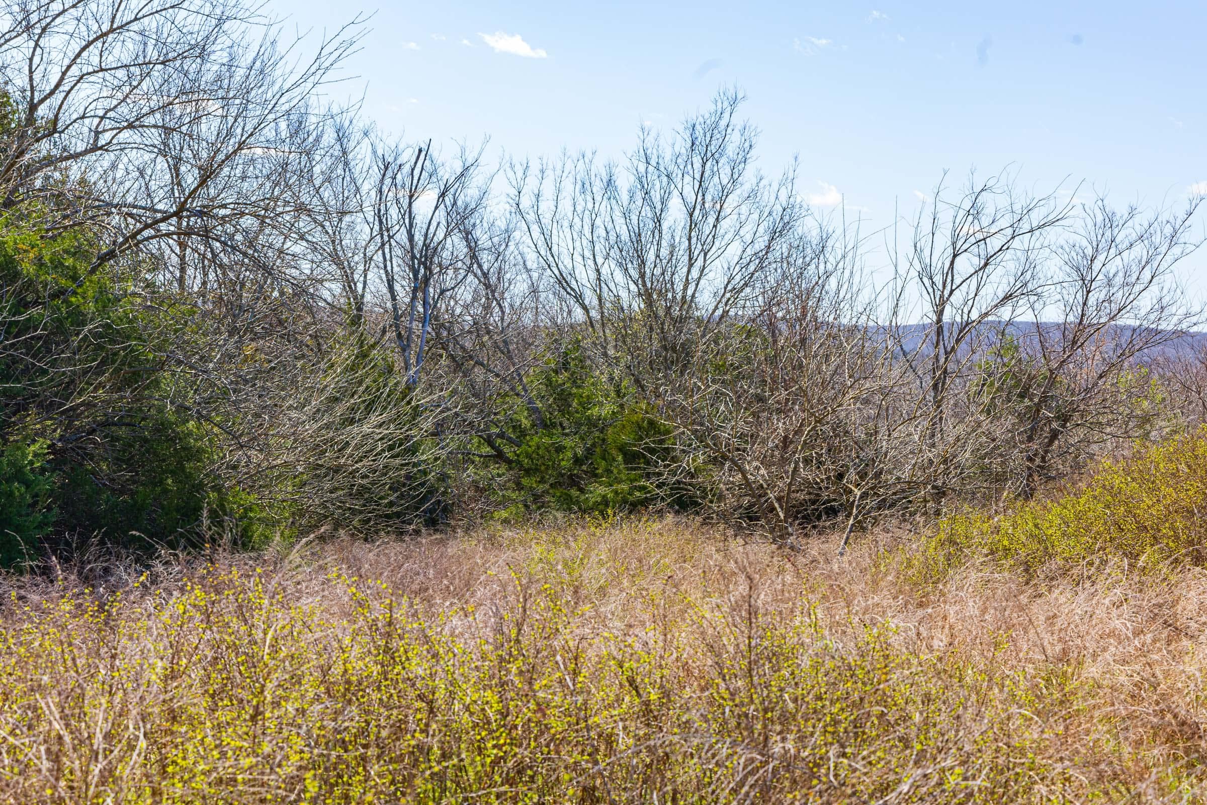 Reserves At Cattail Cove Phase I — Zero Credit Land owner financed land for sale in Pittsburg County, Oklahoma photo 55