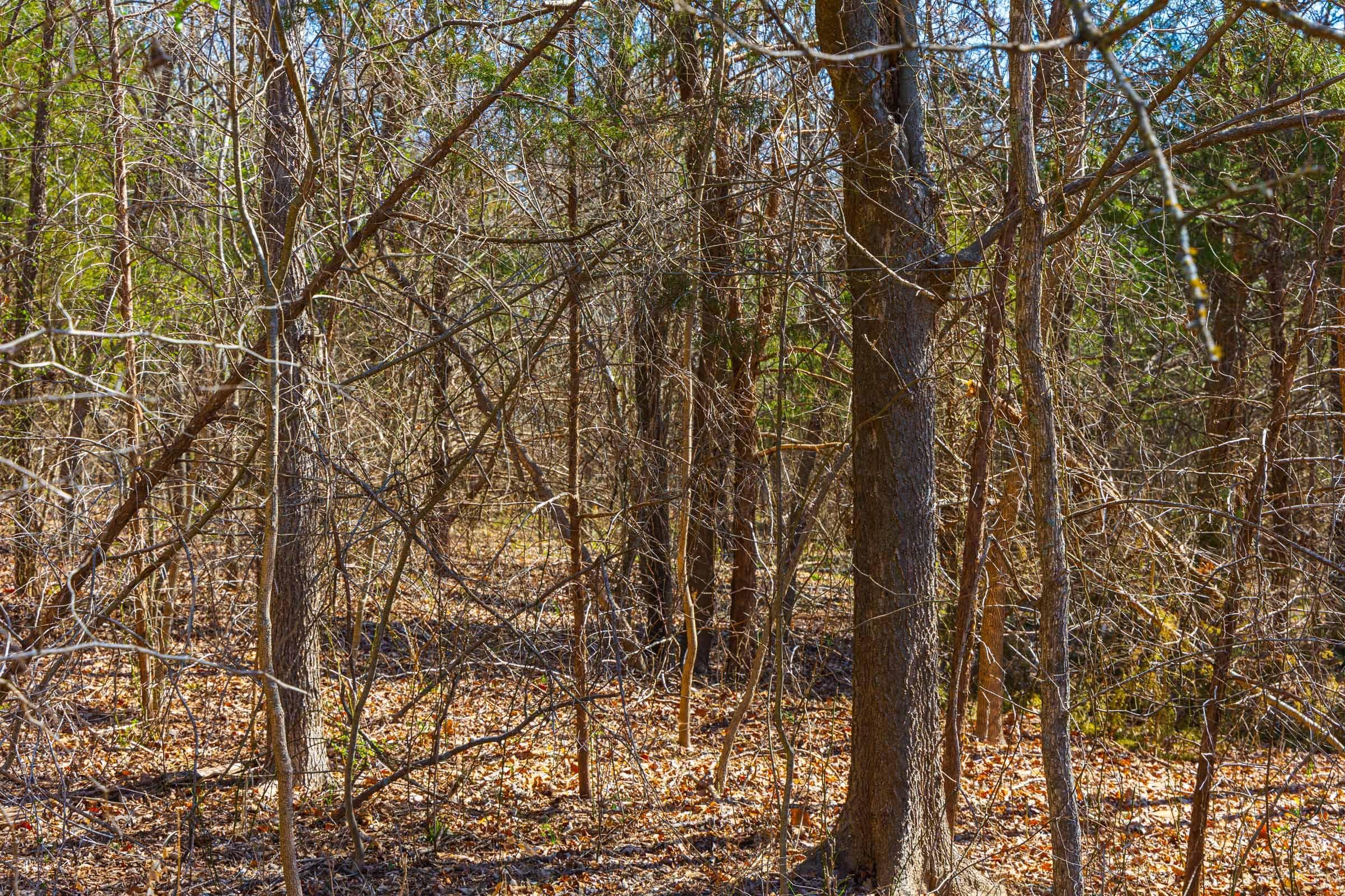 Reserves At Cattail Cove Phase I — Zero Credit Land owner financed land for sale in Pittsburg County, Oklahoma photo 51