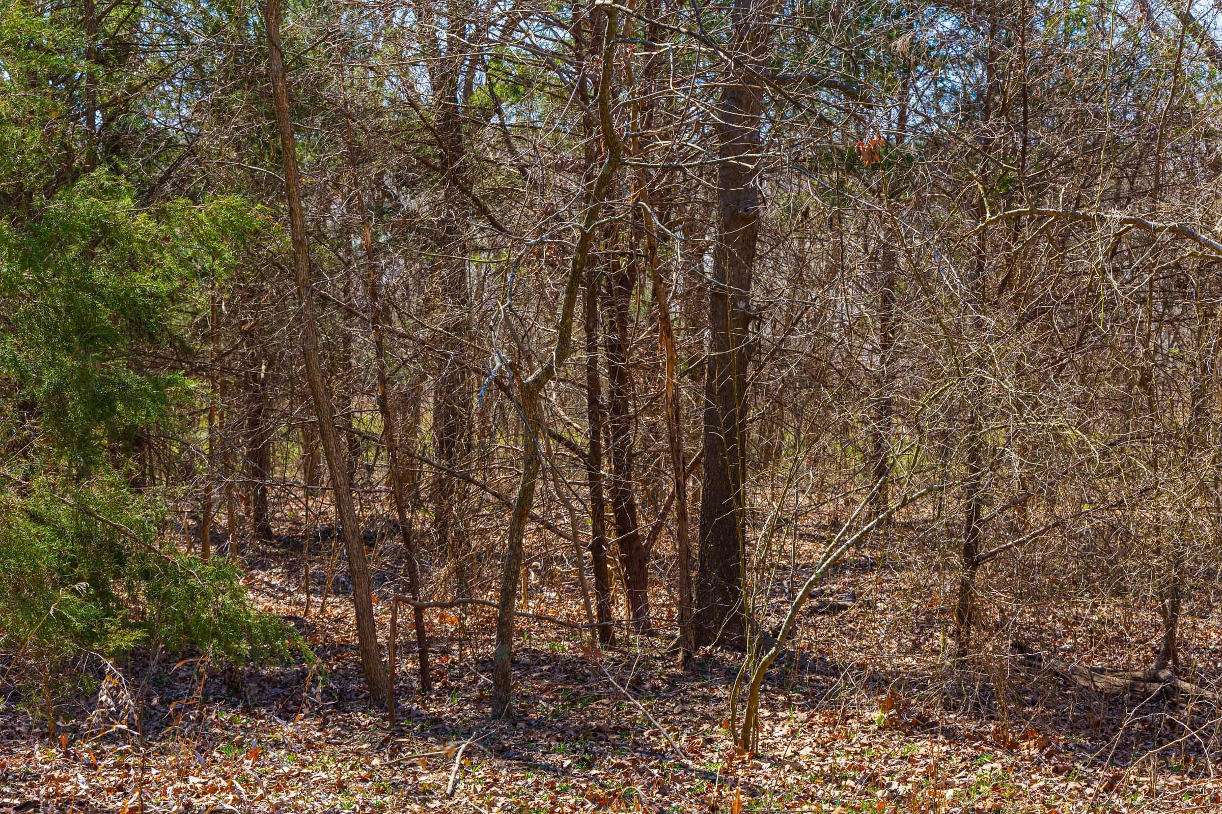Reserves At Cattail Cove Phase I — Zero Credit Land owner financed land for sale in Pittsburg County, Oklahoma photo 56