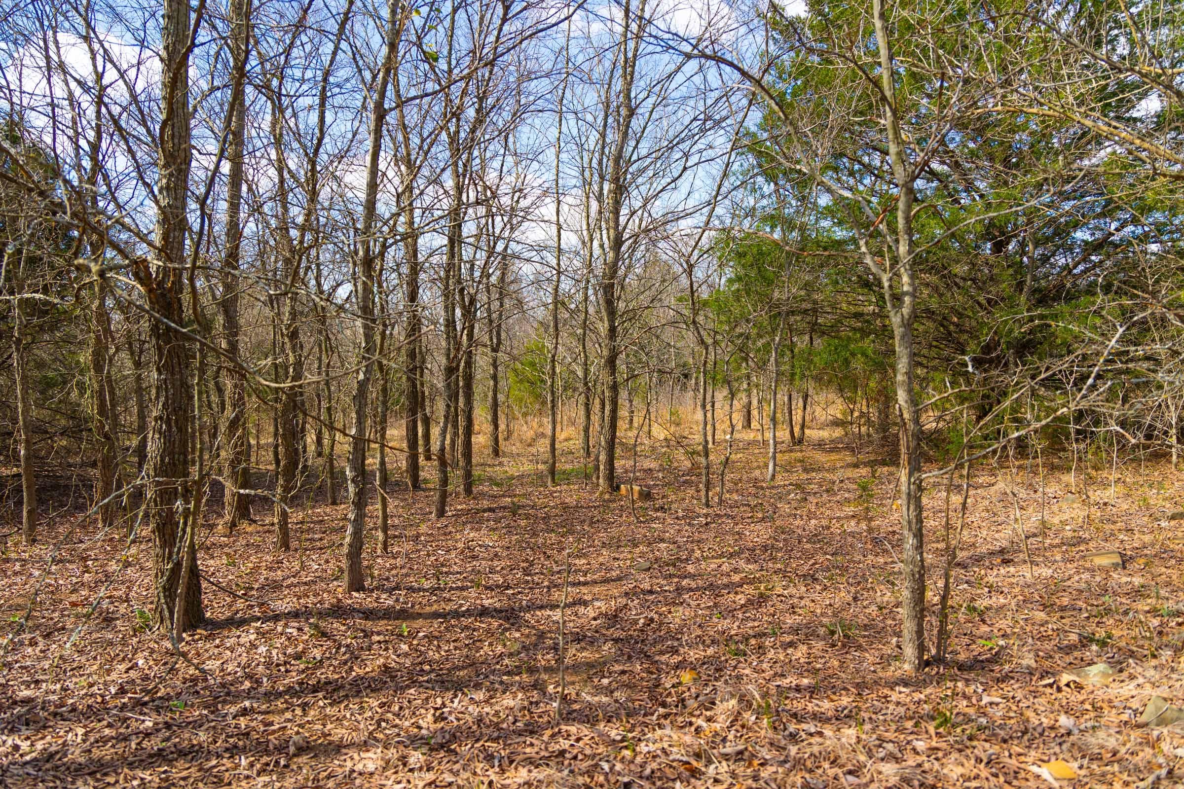 Reserves At Cattail Cove Phase I — Zero Credit Land owner financed land for sale in Pittsburg County, Oklahoma photo 47