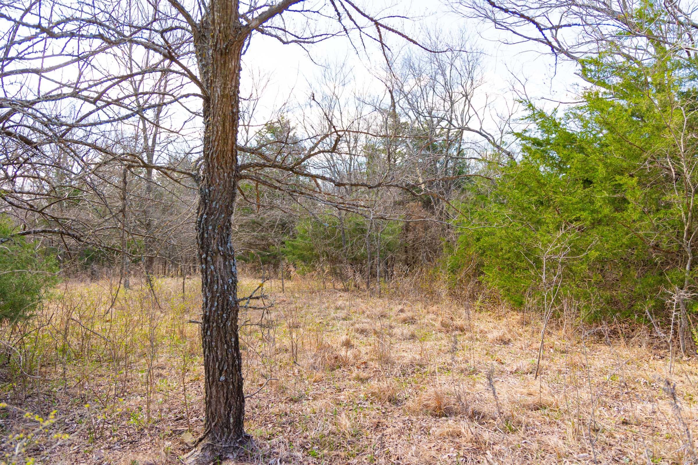 Reserves At Cattail Cove Phase I — Zero Credit Land owner financed land for sale in Pittsburg County, Oklahoma photo 49