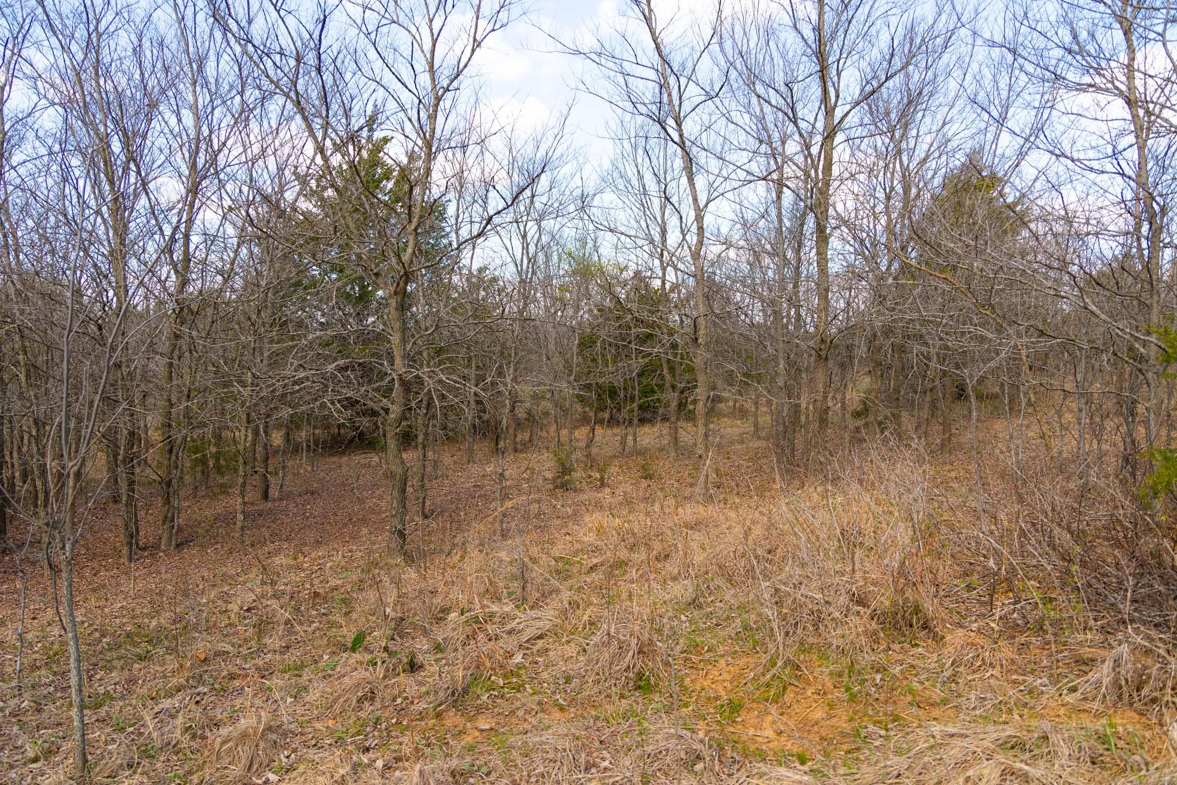 Reserves At Cattail Cove Phase I — Zero Credit Land owner financed land for sale in Pittsburg County, Oklahoma photo 46