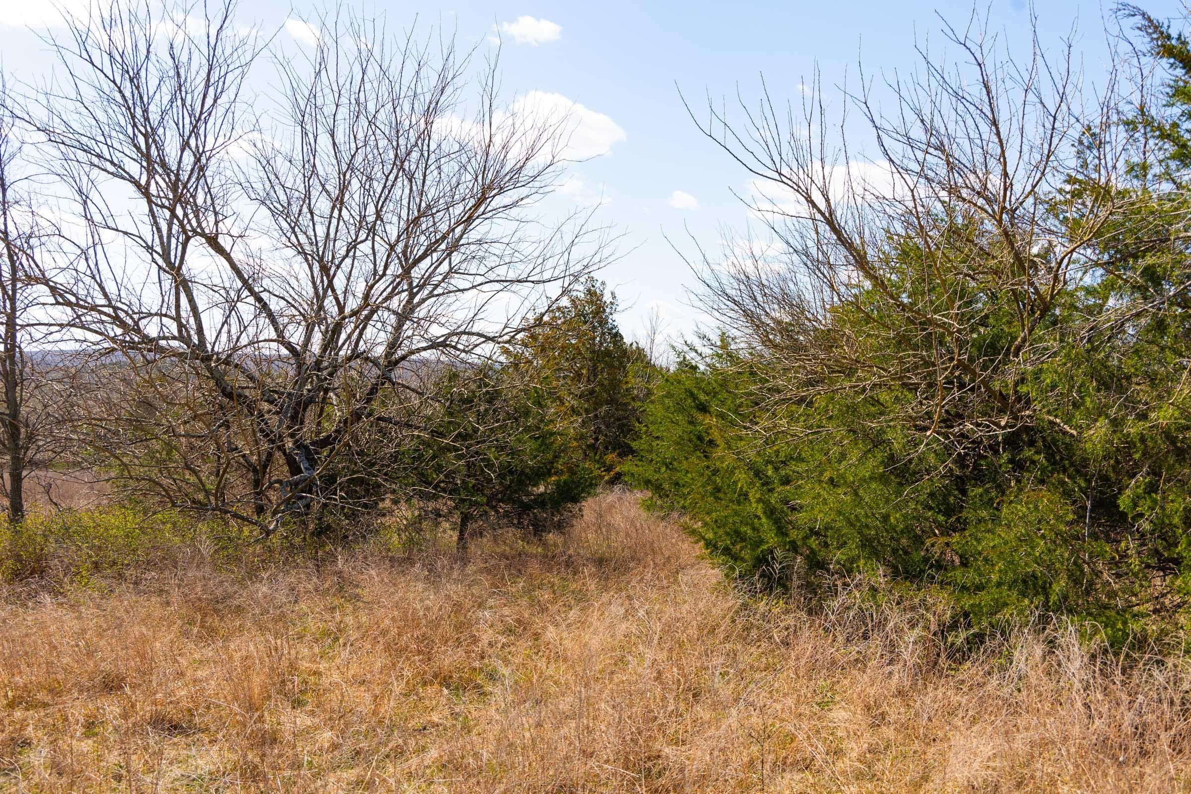 Reserves At Cattail Cove Phase I — Zero Credit Land owner financed land for sale in Pittsburg County, Oklahoma photo 40