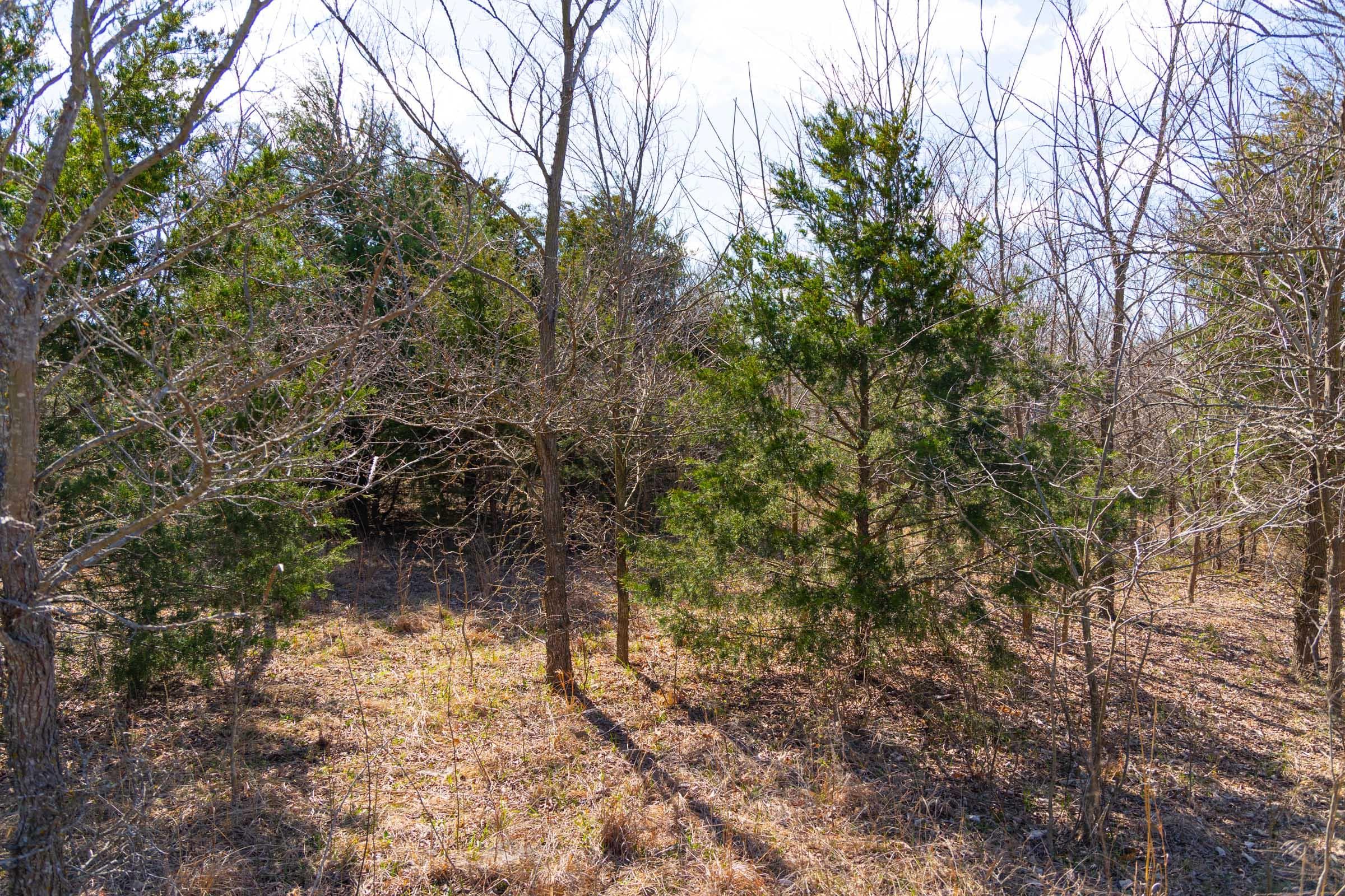 Reserves At Cattail Cove Phase I — Zero Credit Land owner financed land for sale in Pittsburg County, Oklahoma photo 41
