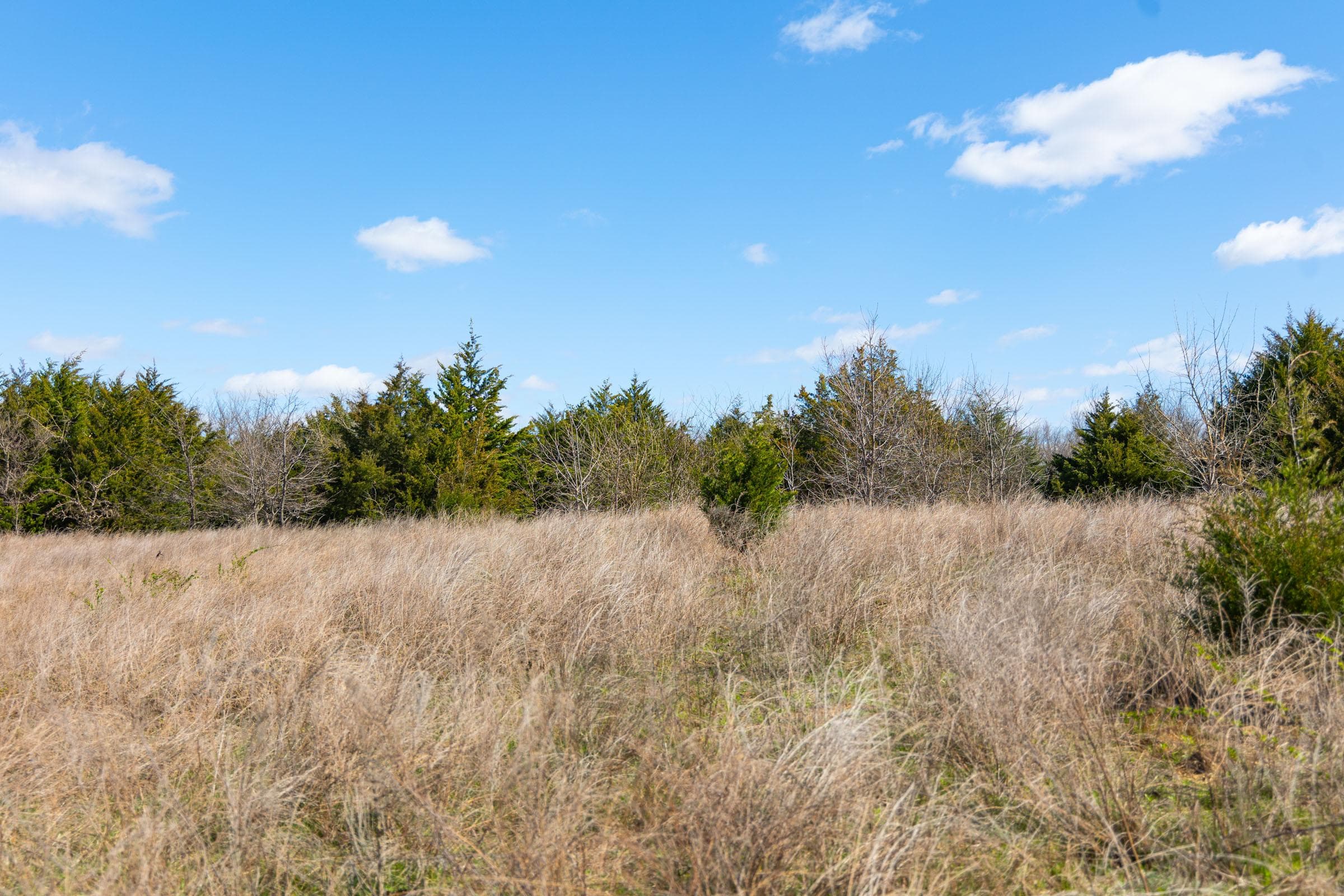 Reserves At Cattail Cove Phase I — Zero Credit Land owner financed land for sale in Pittsburg County, Oklahoma photo 42