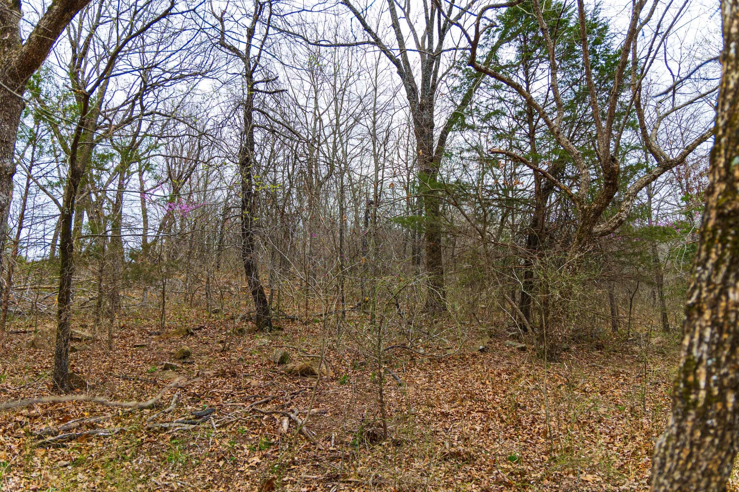 Reserves At Cattail Cove Phase I — Zero Credit Land owner financed land for sale in Pittsburg County, Oklahoma photo 36