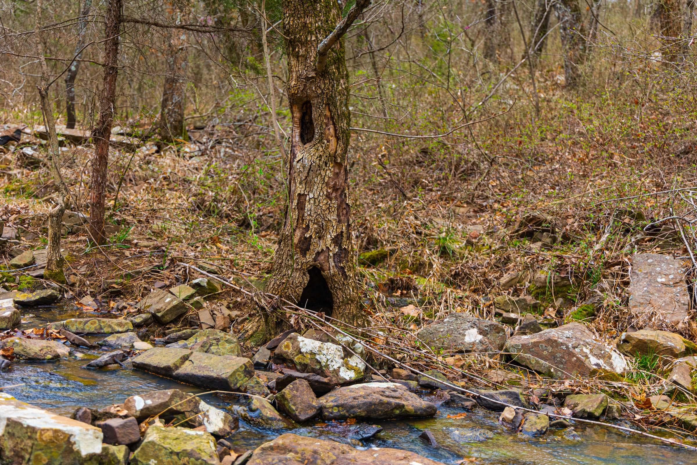 Reserves At Cattail Cove Phase I — Zero Credit Land owner financed land for sale in Pittsburg County, Oklahoma photo 37
