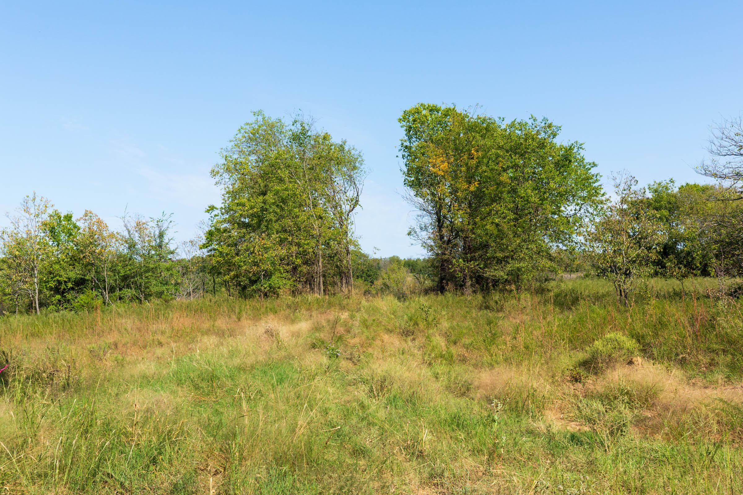Canyon Creek — Zero Credit Land owner financed land for sale in Lincoln County, Oklahoma photo 27