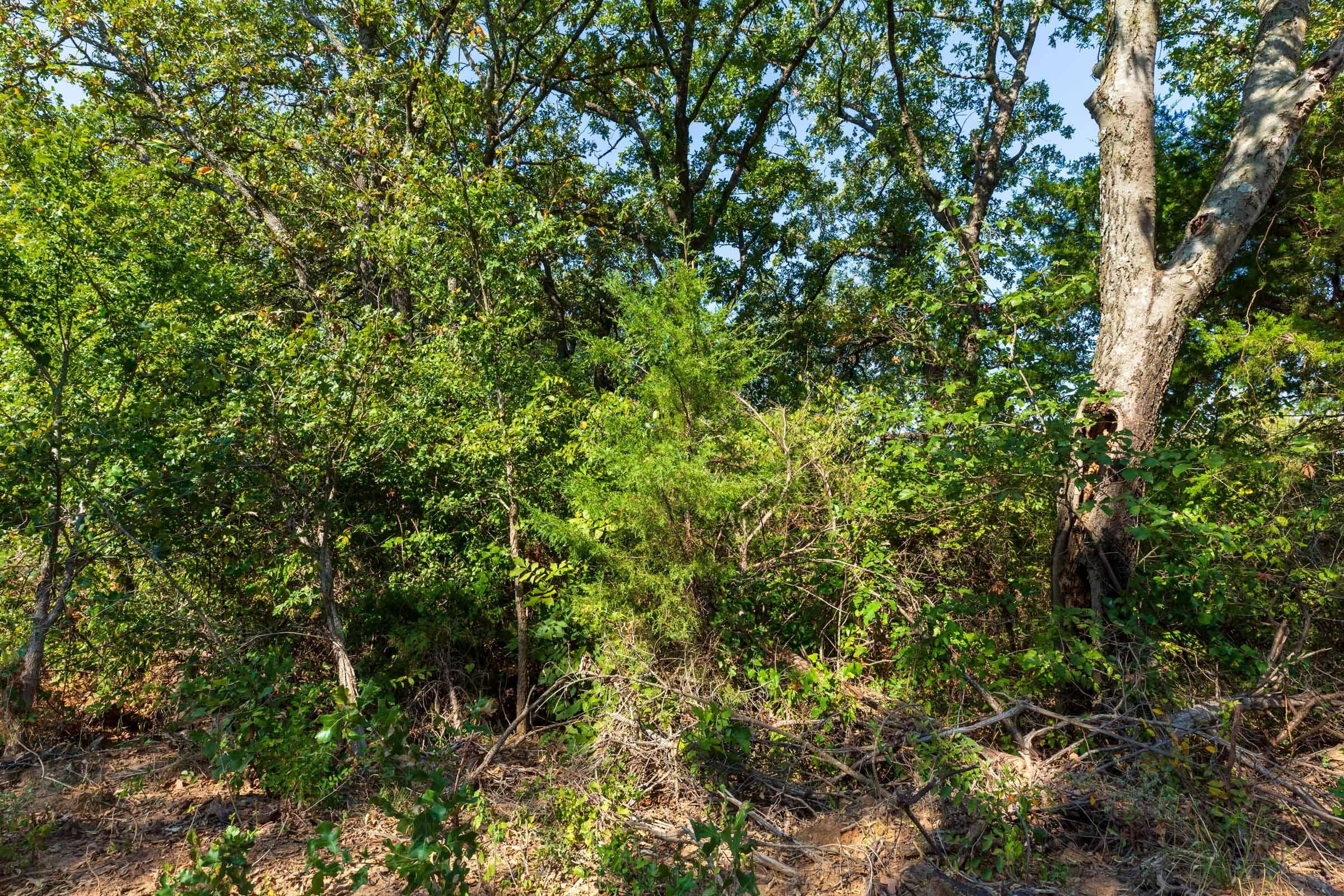 Canyon Creek — Zero Credit Land owner financed land for sale in Lincoln County, Oklahoma photo 26