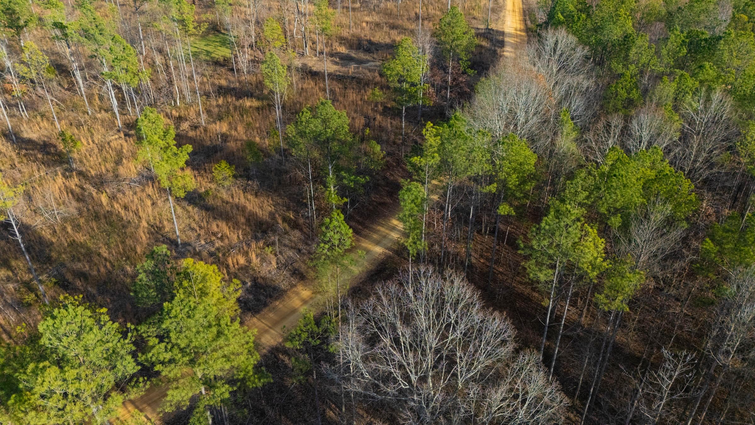 Lighting Ridge — Zero Credit Land owner financed land for sale in Colbert County, Alabama photo 21