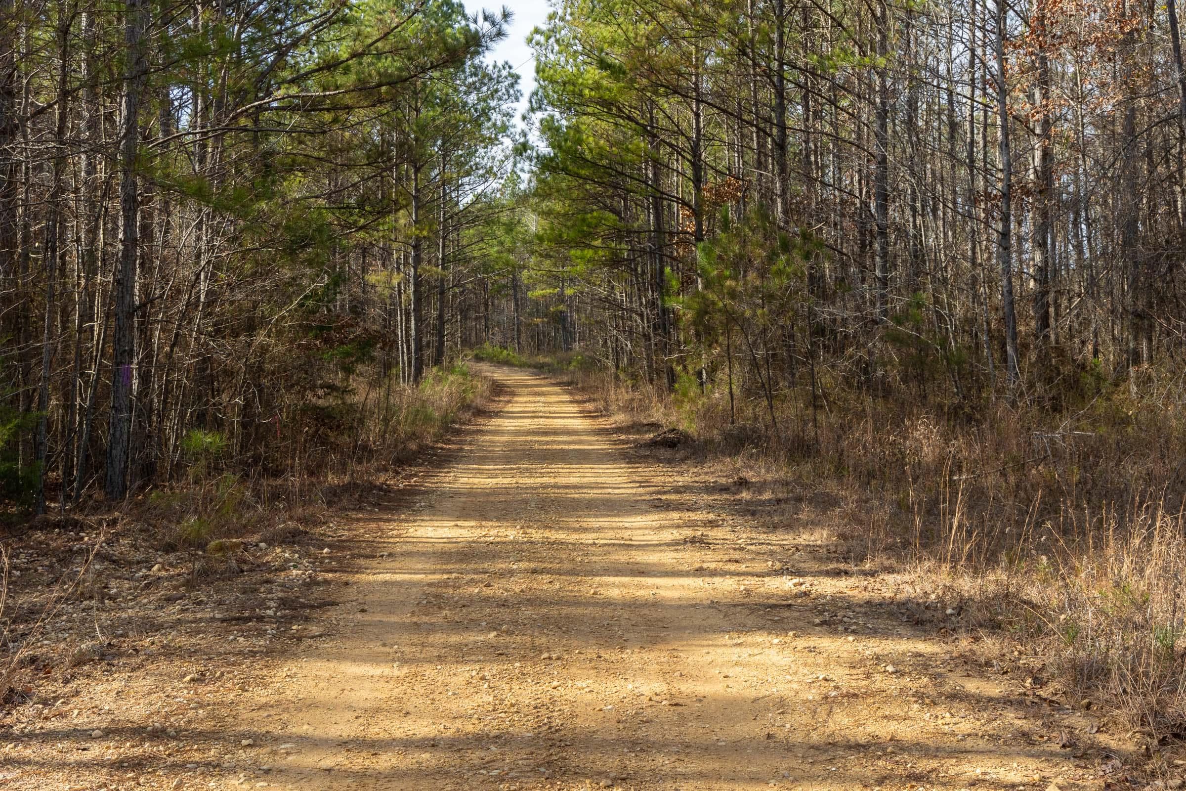 Lighting Ridge — Zero Credit Land owner financed land for sale in Colbert County, Alabama photo 61