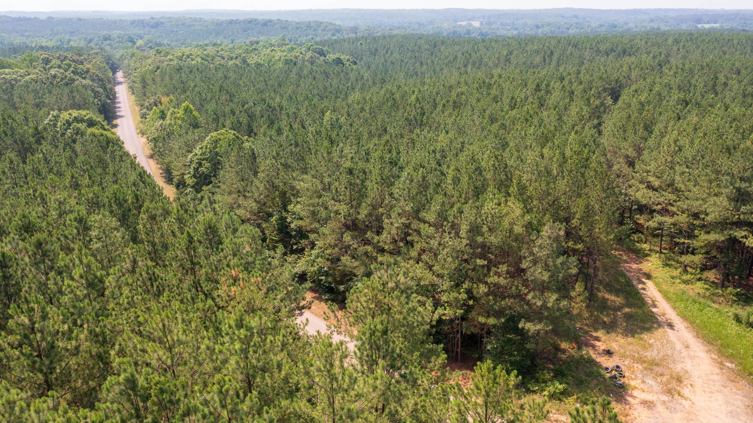 Whiskey Ridge — Zero Credit Land owner financed land for sale in Henderson County, Tennessee photo 131