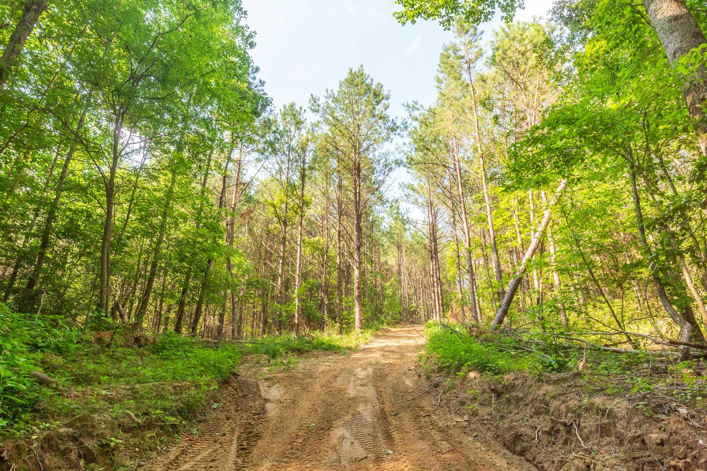 Whiskey Ridge — Zero Credit Land owner financed land for sale in Henderson County, Tennessee photo 129