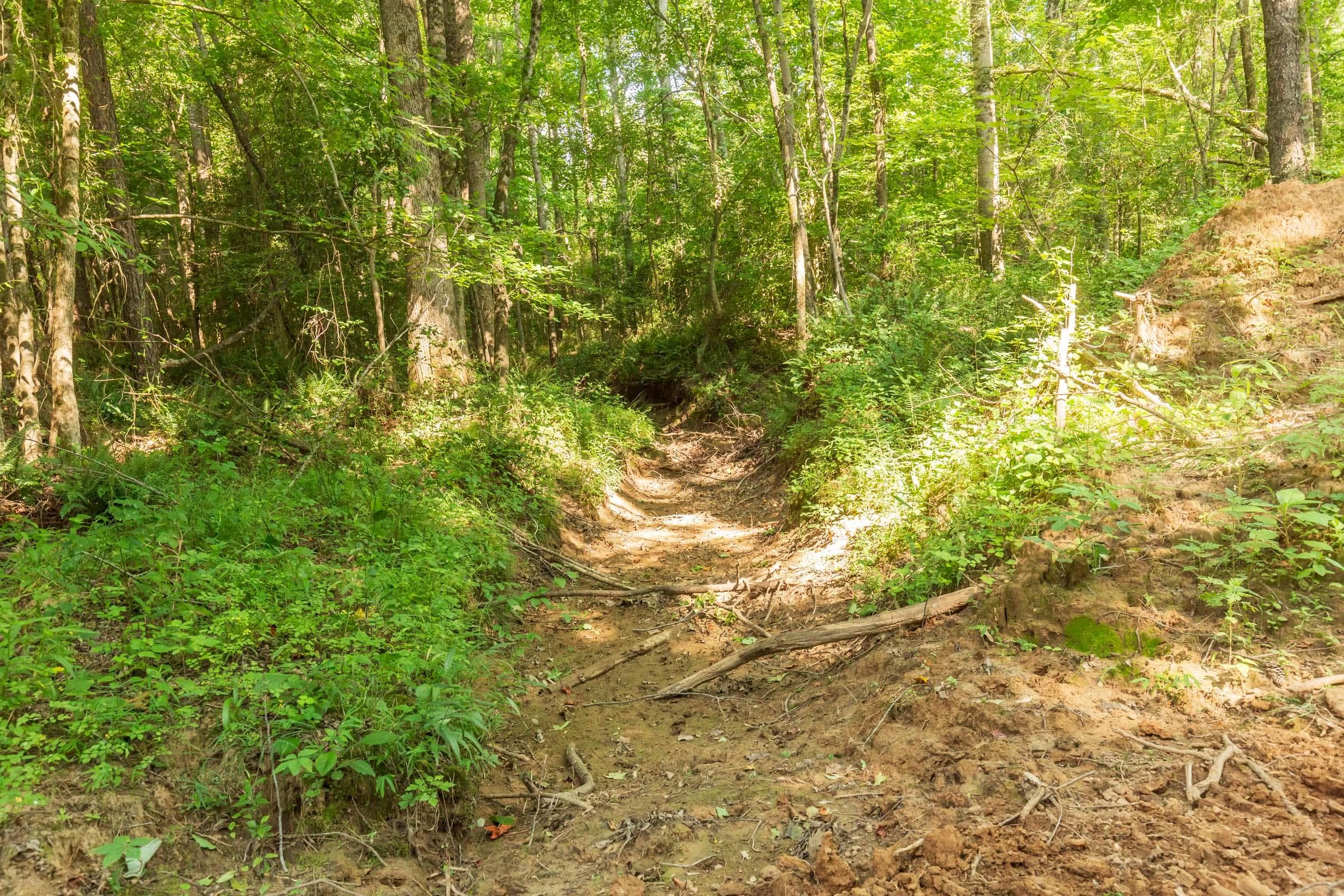 Whiskey Ridge — Zero Credit Land owner financed land for sale in Henderson County, Tennessee photo 130