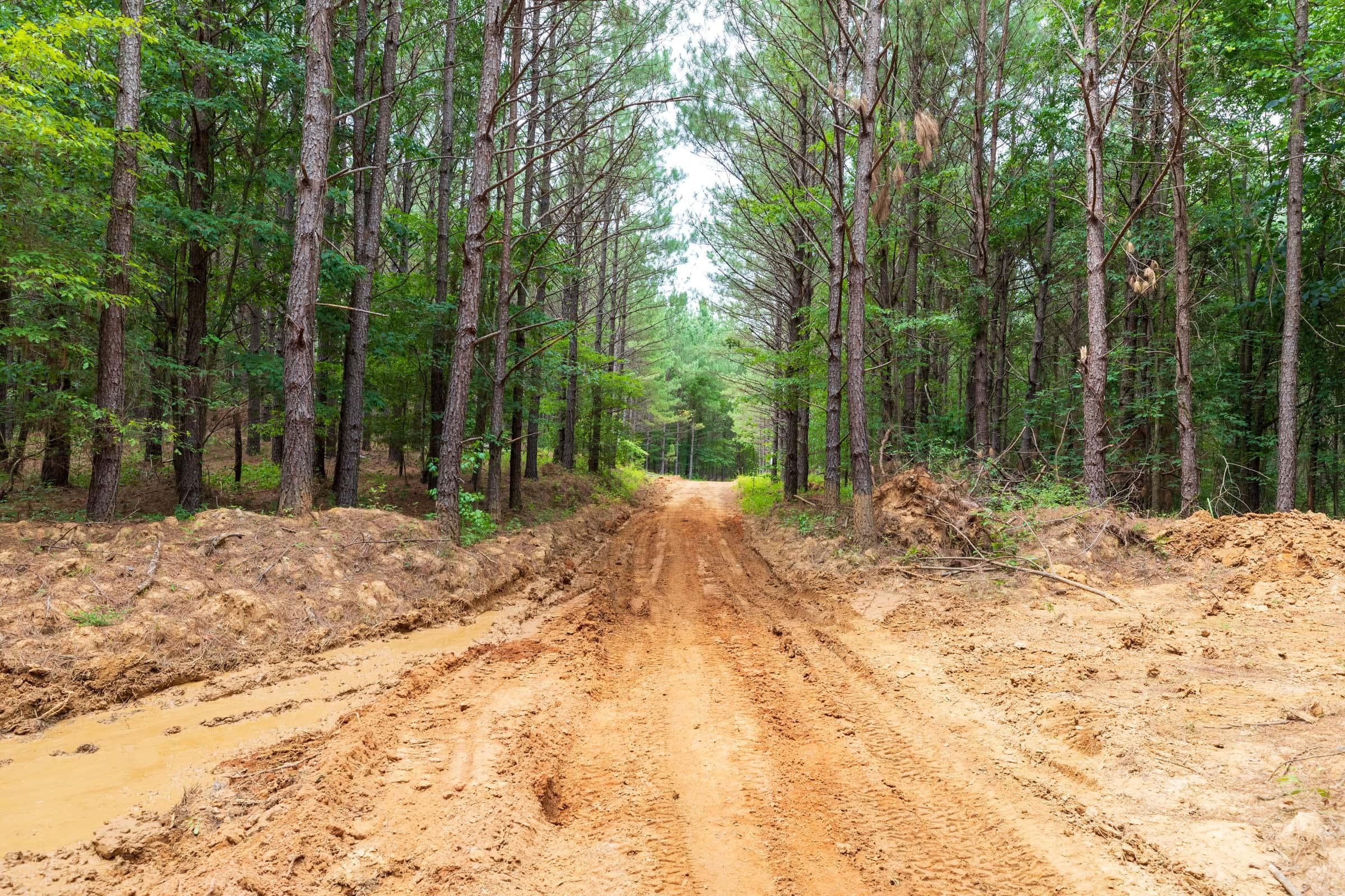 Whiskey Ridge — Zero Credit Land owner financed land for sale in Henderson County, Tennessee photo 123