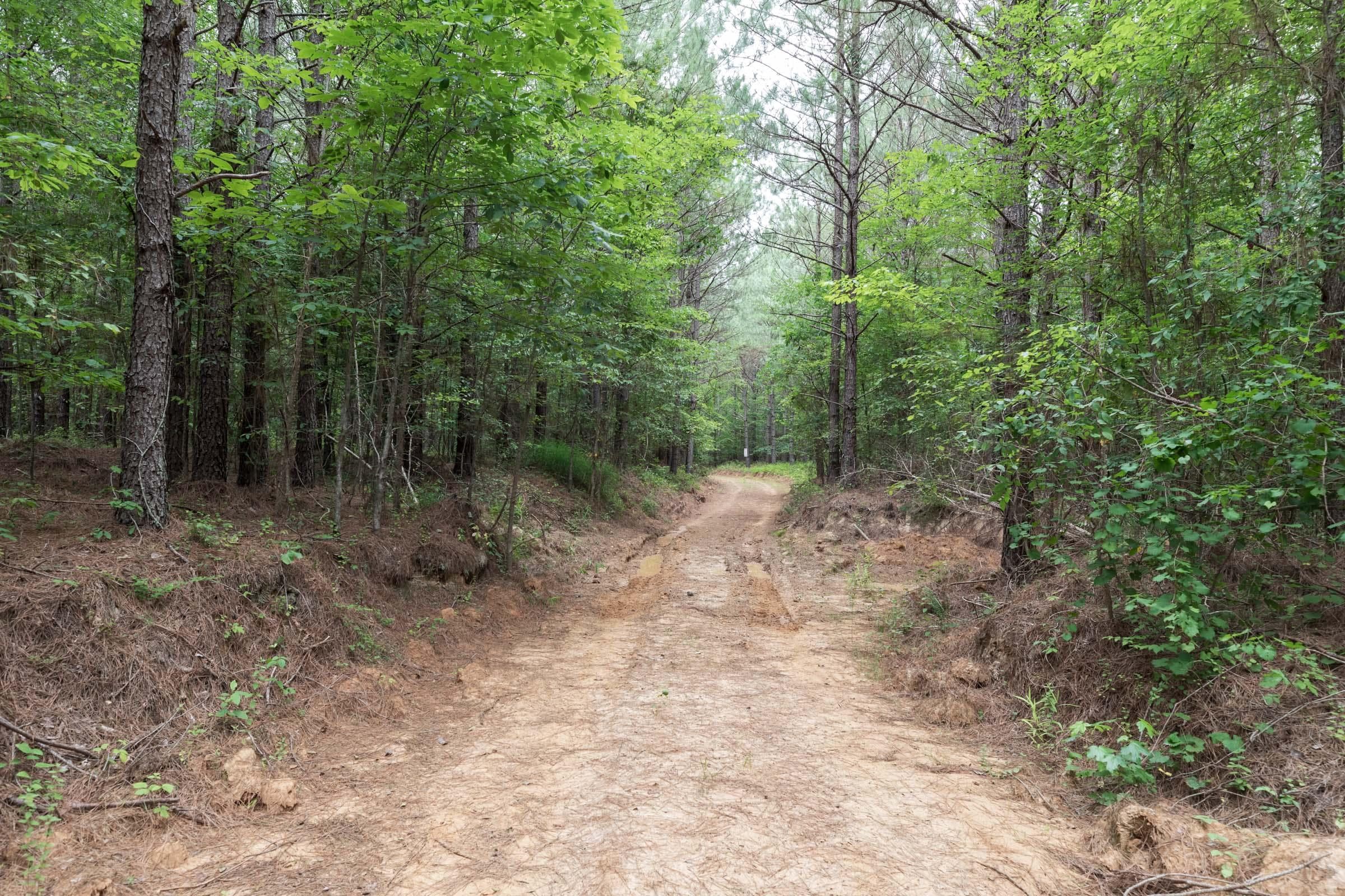 Whiskey Ridge — Zero Credit Land owner financed land for sale in Henderson County, Tennessee photo 113