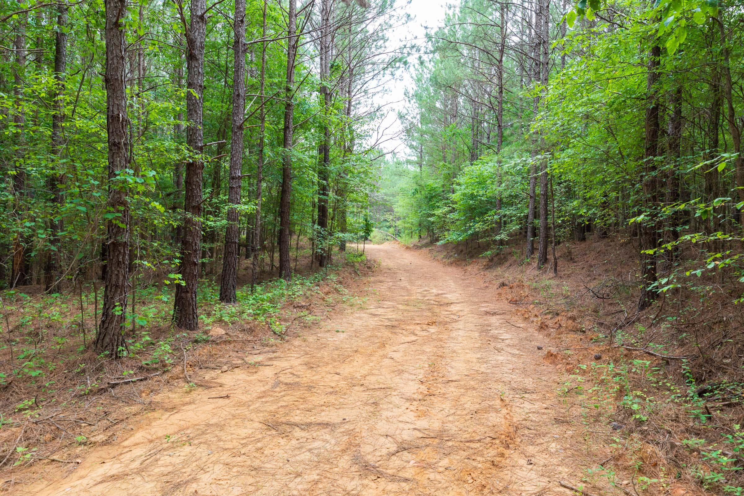 Whiskey Ridge — Zero Credit Land owner financed land for sale in Henderson County, Tennessee photo 120