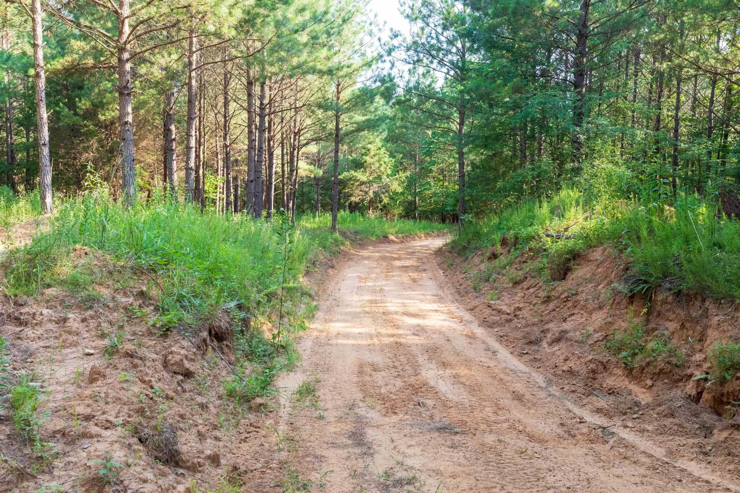 Whiskey Ridge — Zero Credit Land owner financed land for sale in Henderson County, Tennessee photo 111