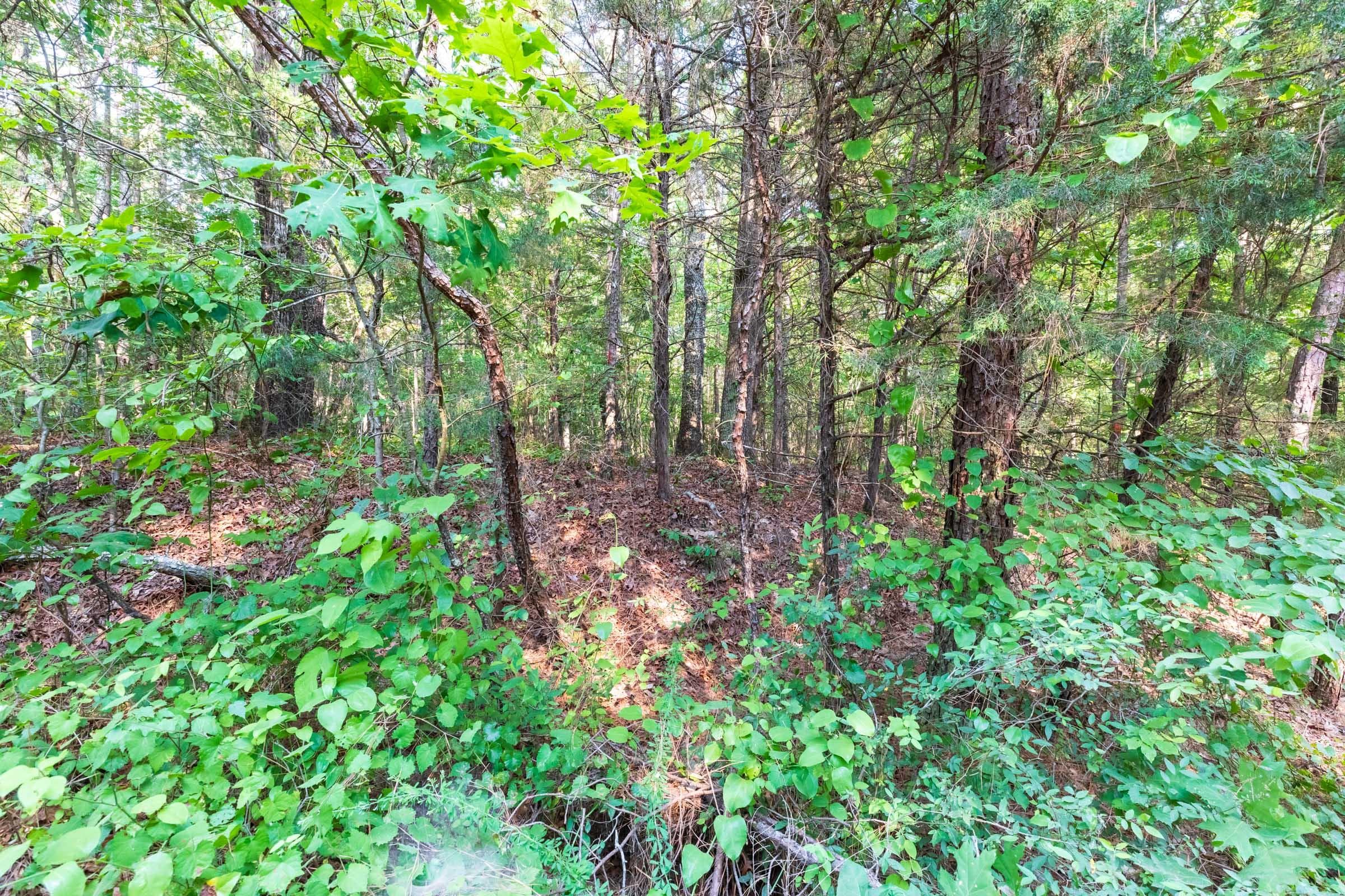 Whiskey Ridge — Zero Credit Land owner financed land for sale in Henderson County, Tennessee photo 109