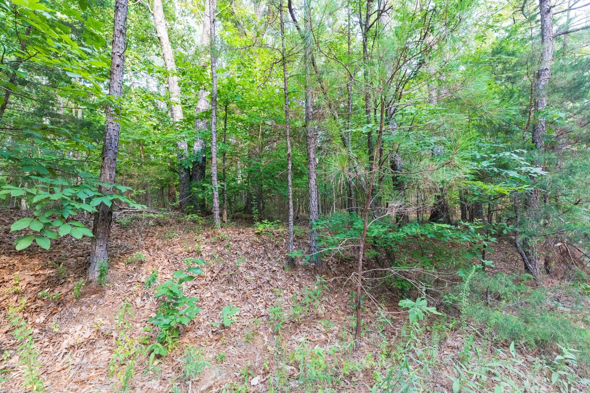 Whiskey Ridge — Zero Credit Land owner financed land for sale in Henderson County, Tennessee photo 112