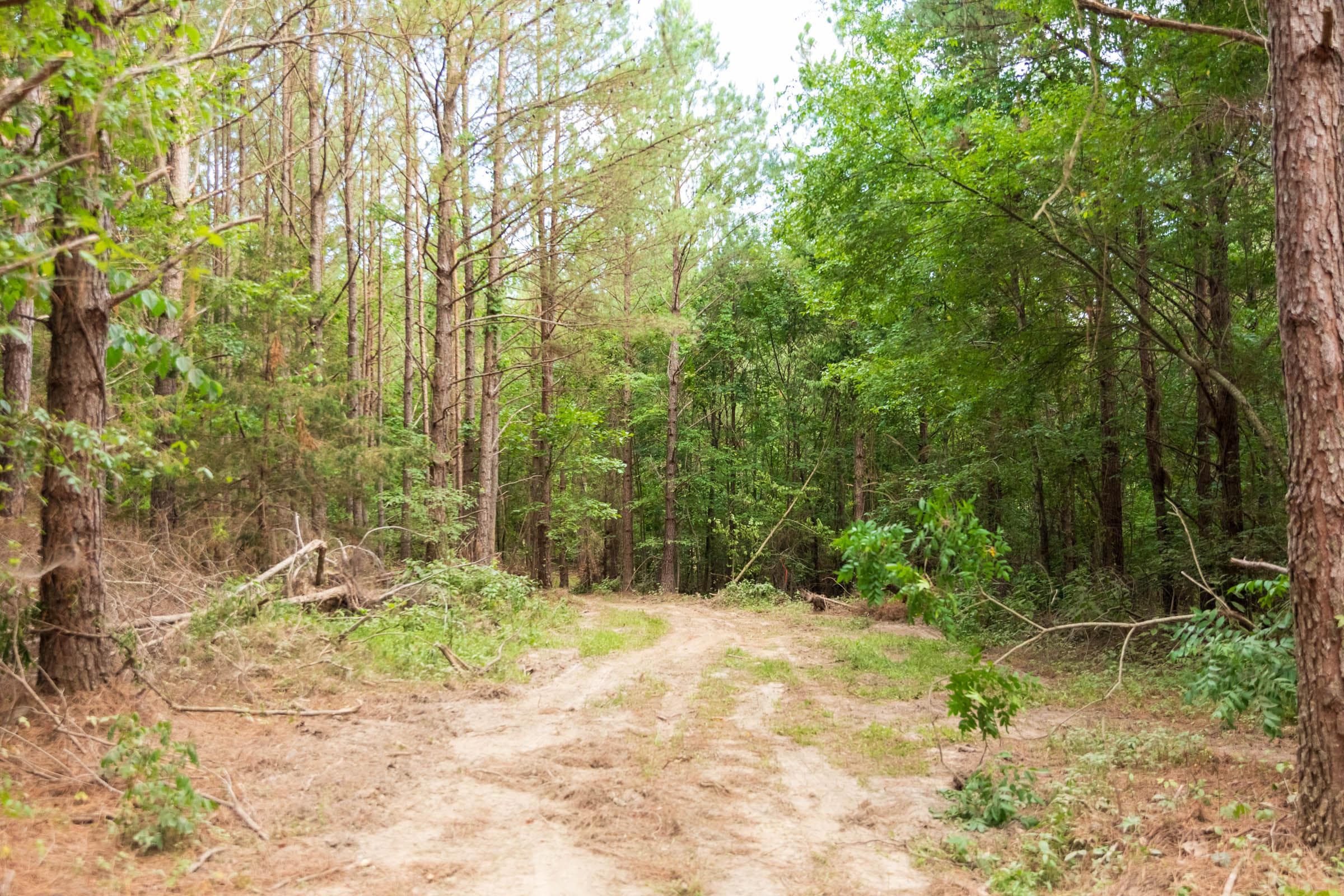 Whiskey Ridge — Zero Credit Land owner financed land for sale in Henderson County, Tennessee photo 105