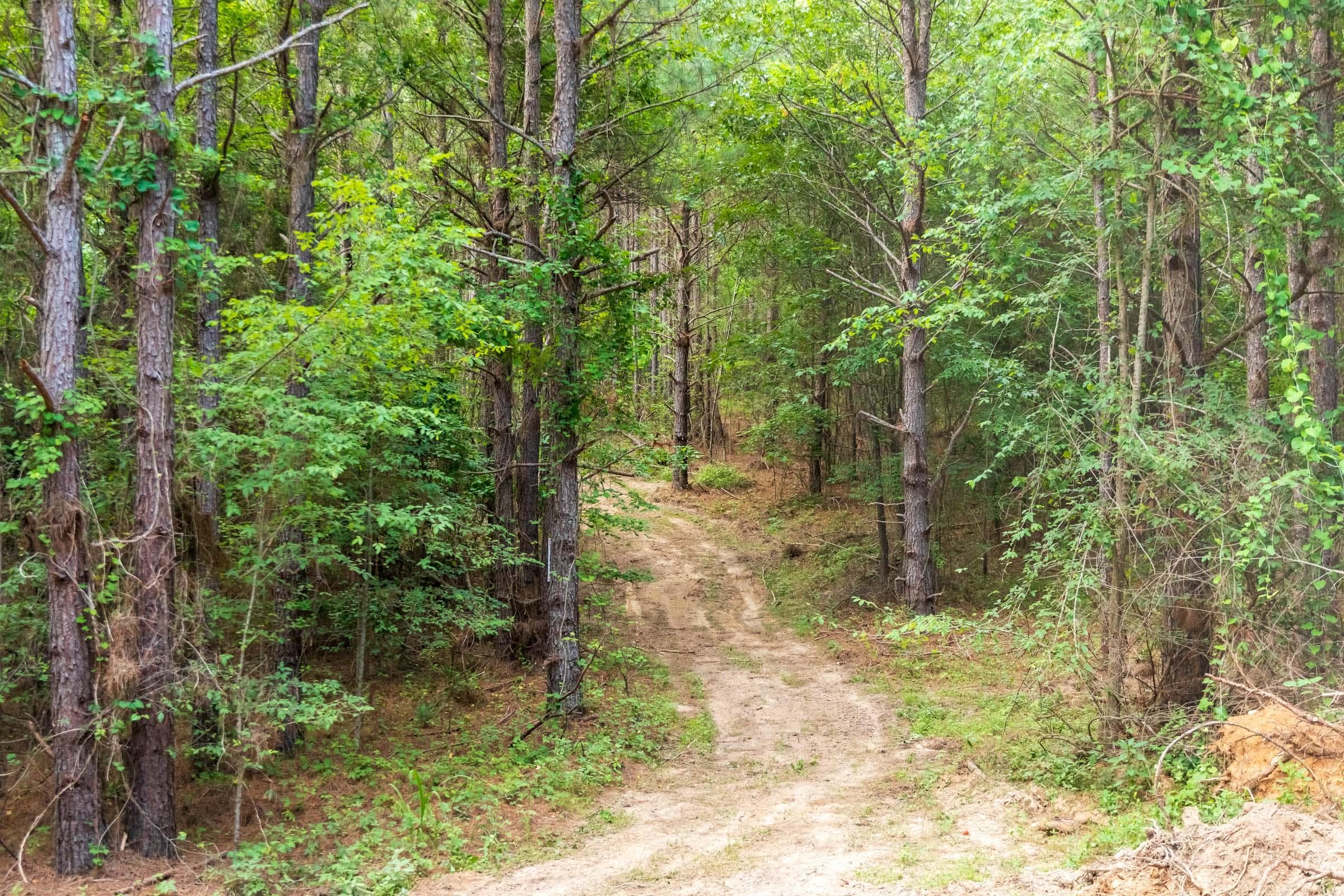 Whiskey Ridge — Zero Credit Land owner financed land for sale in Henderson County, Tennessee photo 103