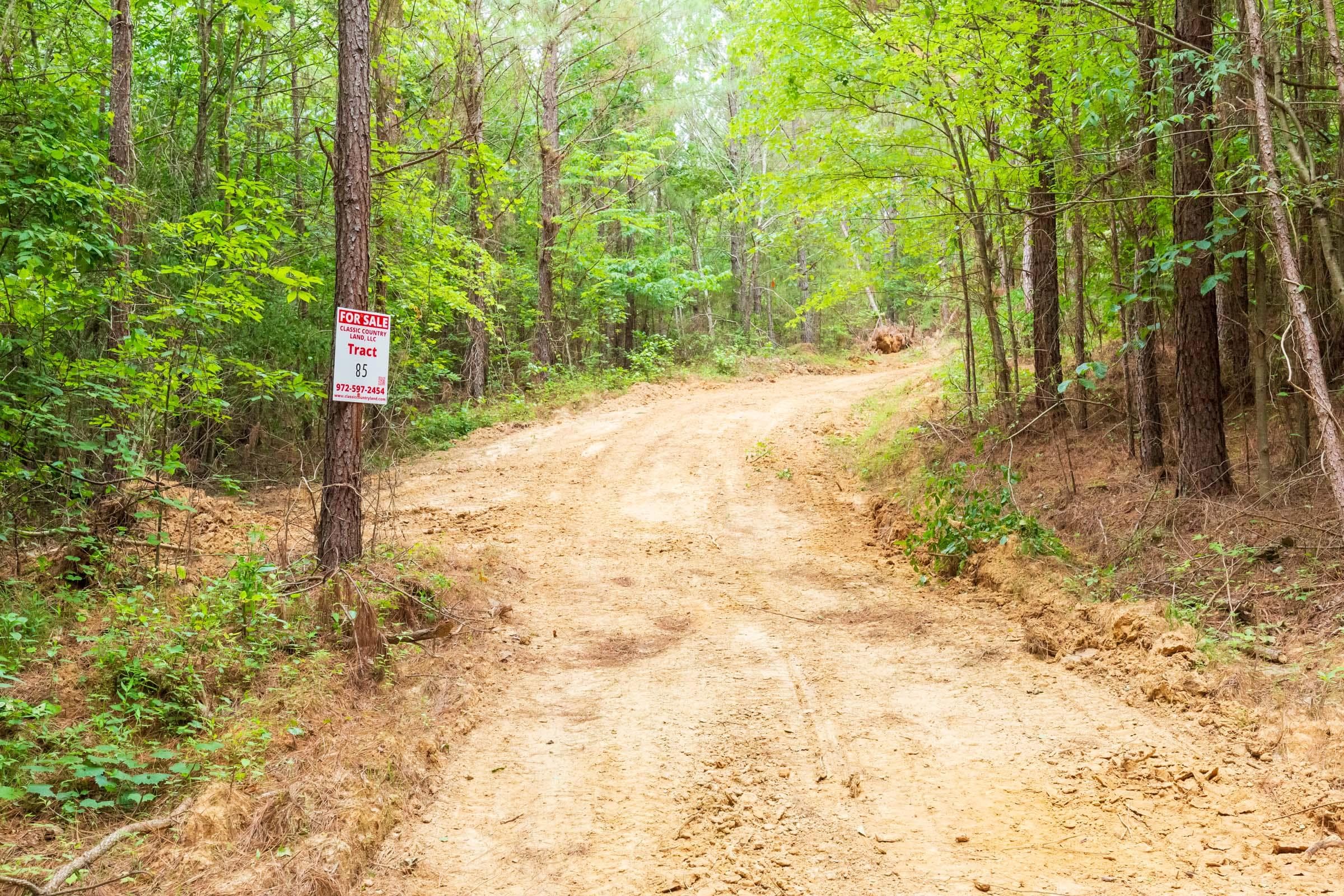 Whiskey Ridge — Zero Credit Land owner financed land for sale in Henderson County, Tennessee photo 90