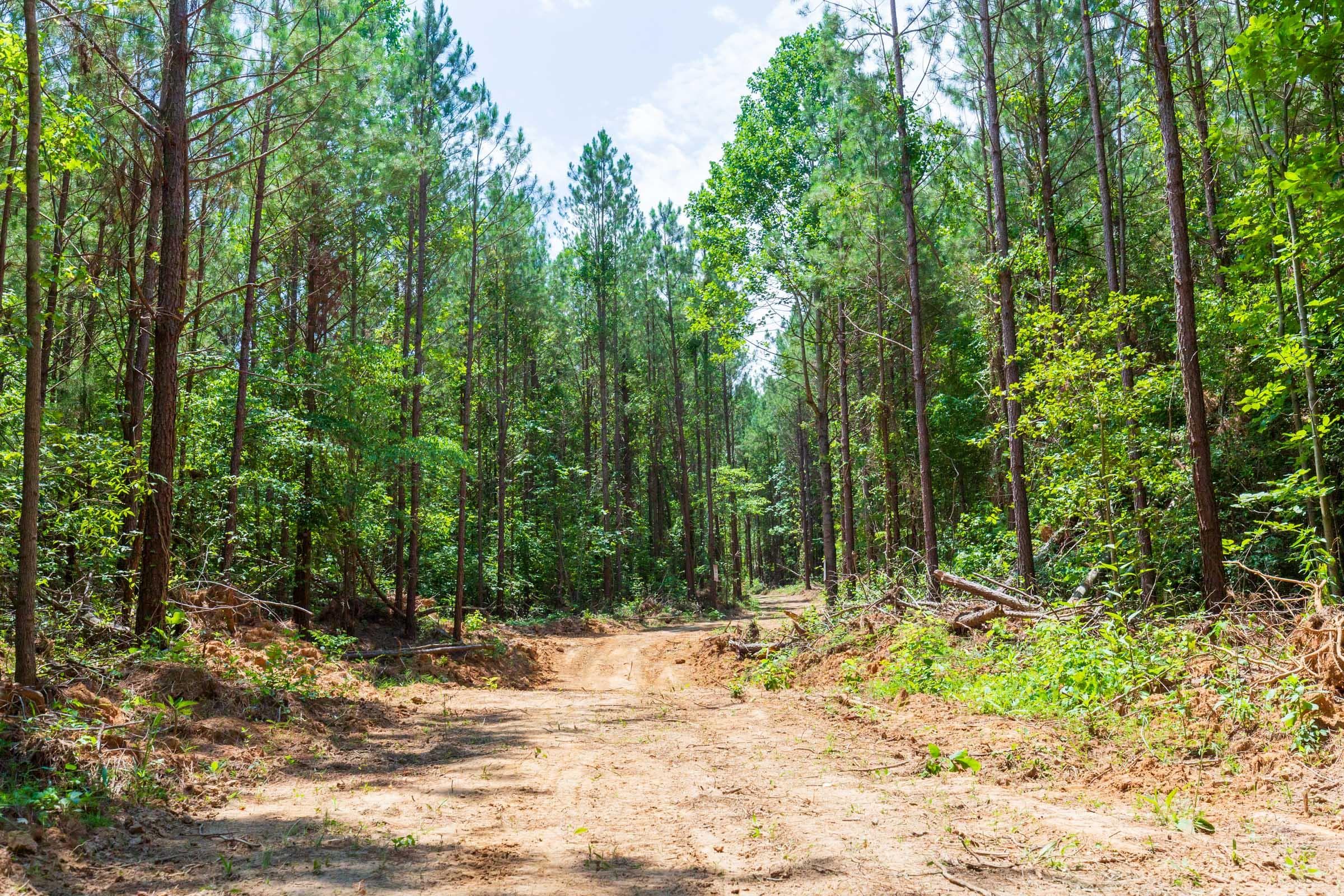 Whiskey Ridge — Zero Credit Land owner financed land for sale in Henderson County, Tennessee photo 83