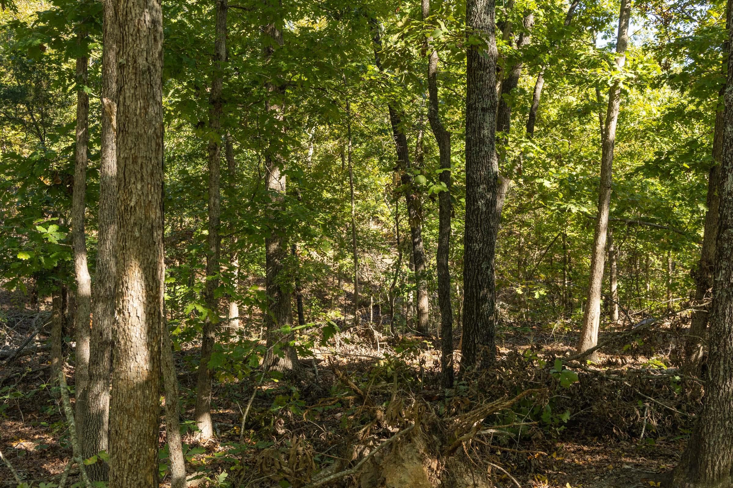 Property photo 41