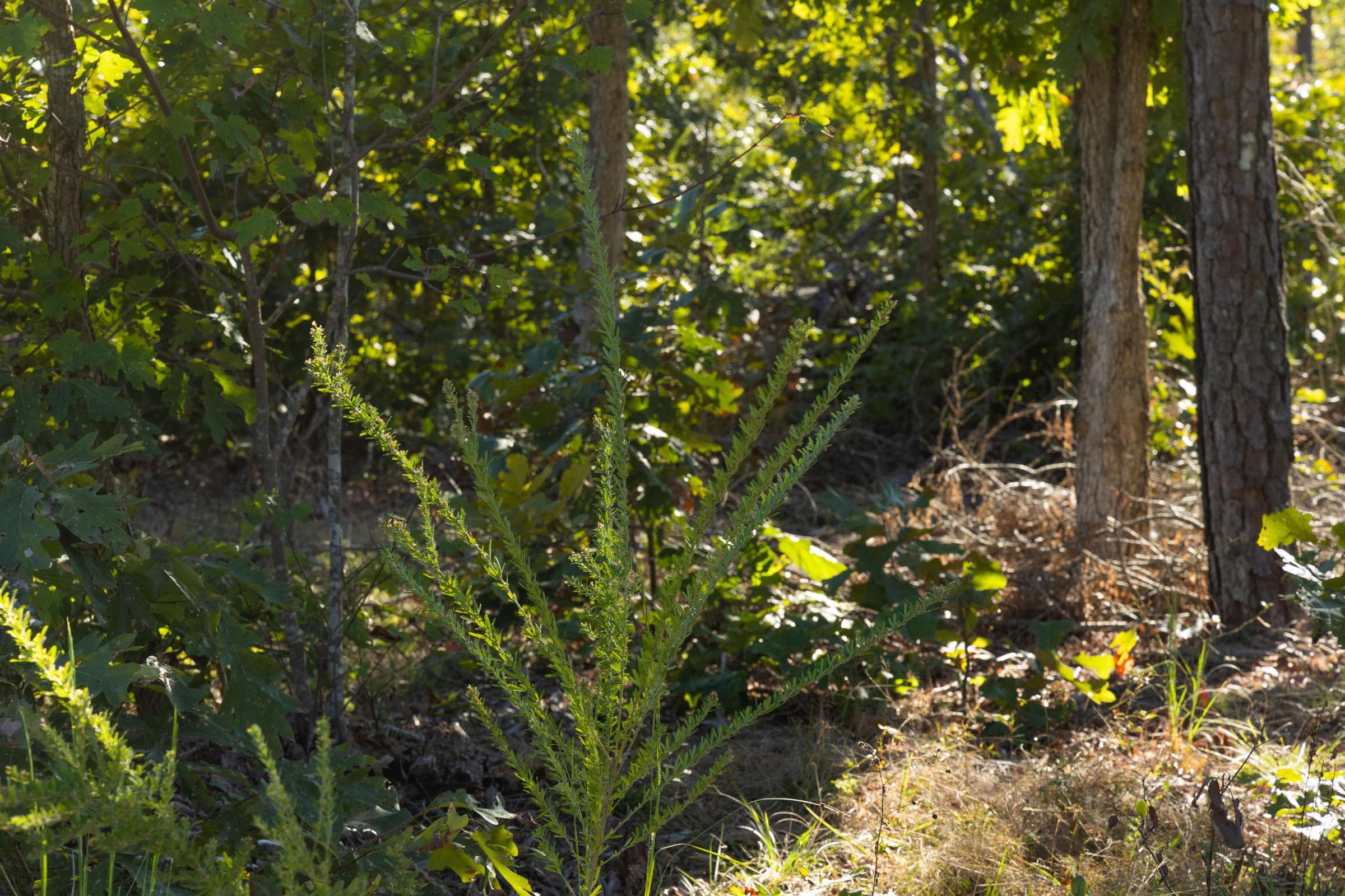 Property photo 32