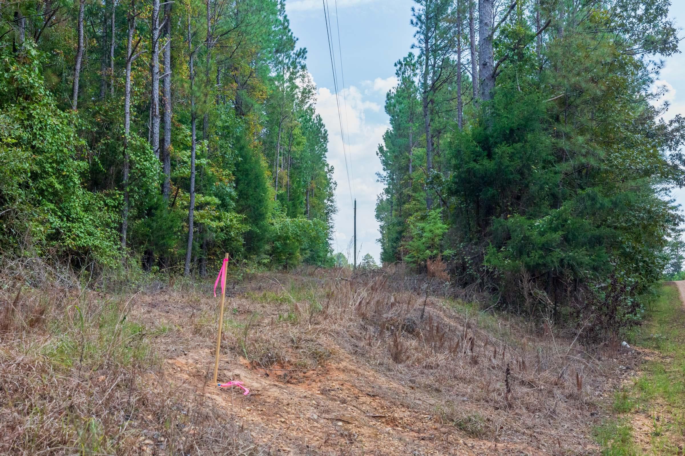 Willow Grove — Zero Credit Land owner financed land for sale in Lamar County, Alabama photo 23