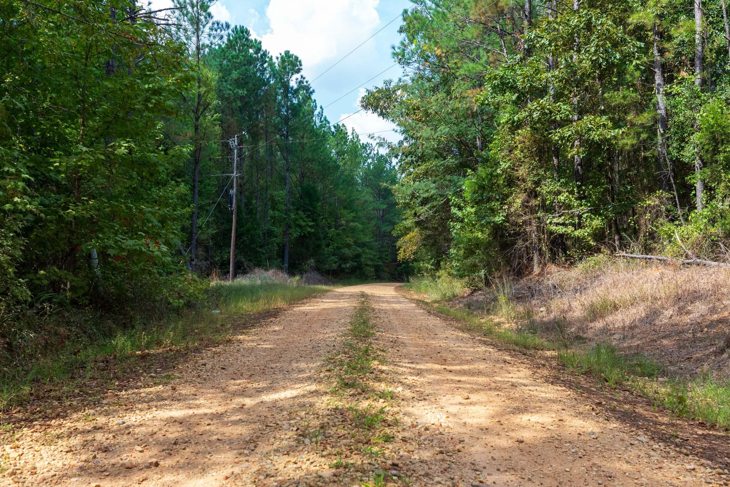 Willow Grove — Zero Credit Land owner financed land for sale in Lamar County, Alabama photo 22