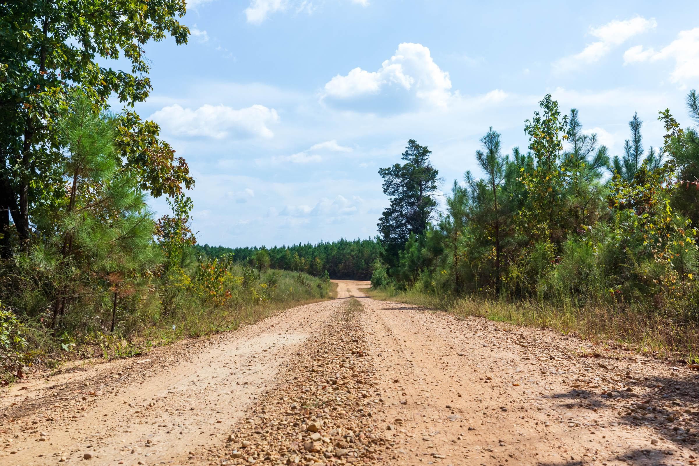 Willow Grove — Zero Credit Land owner financed land for sale in Lamar County, Alabama photo 24
