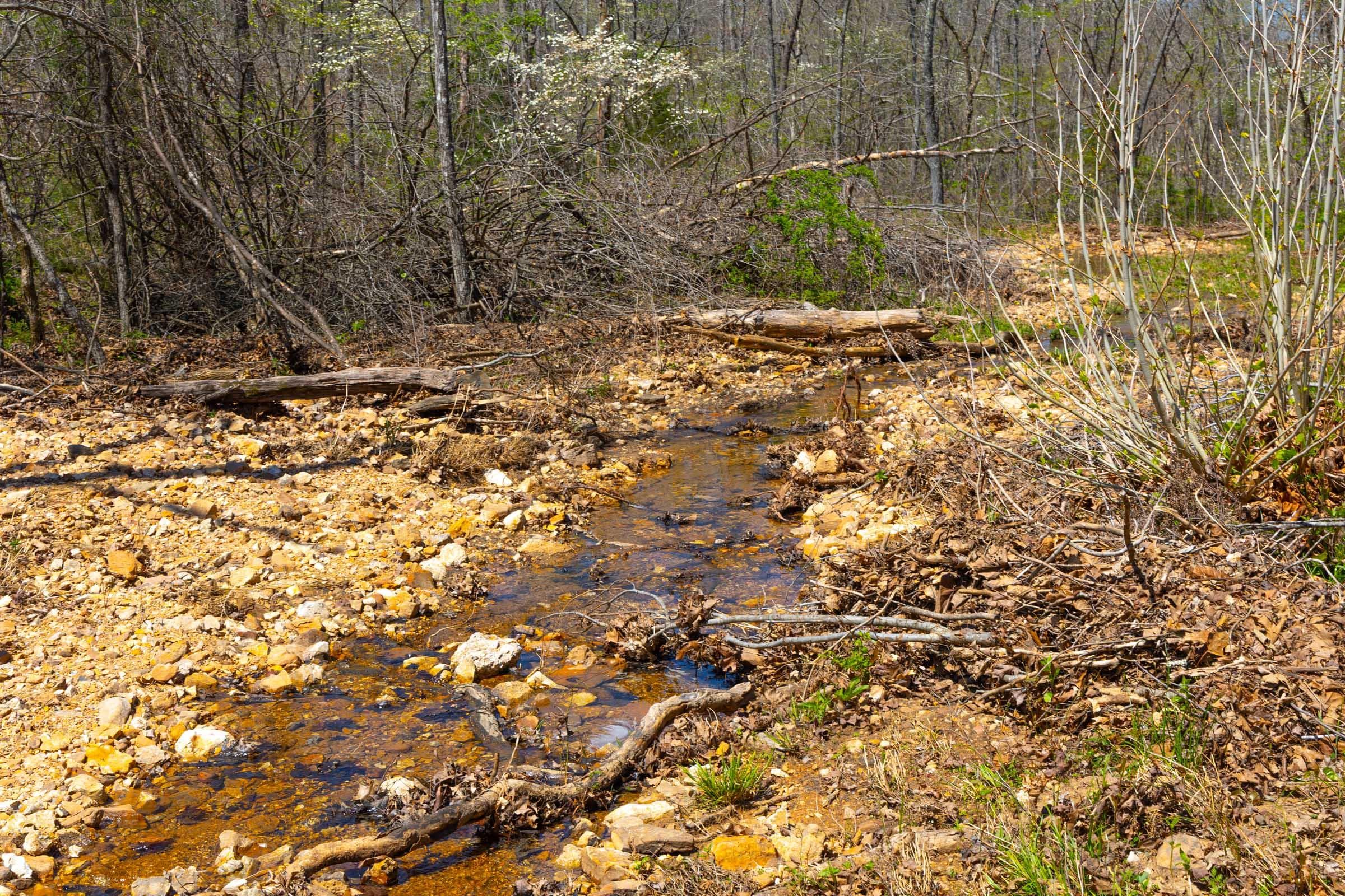 Lazybrook — Zero Credit Land owner financed land for sale in Fulton County, Arkansas photo 15