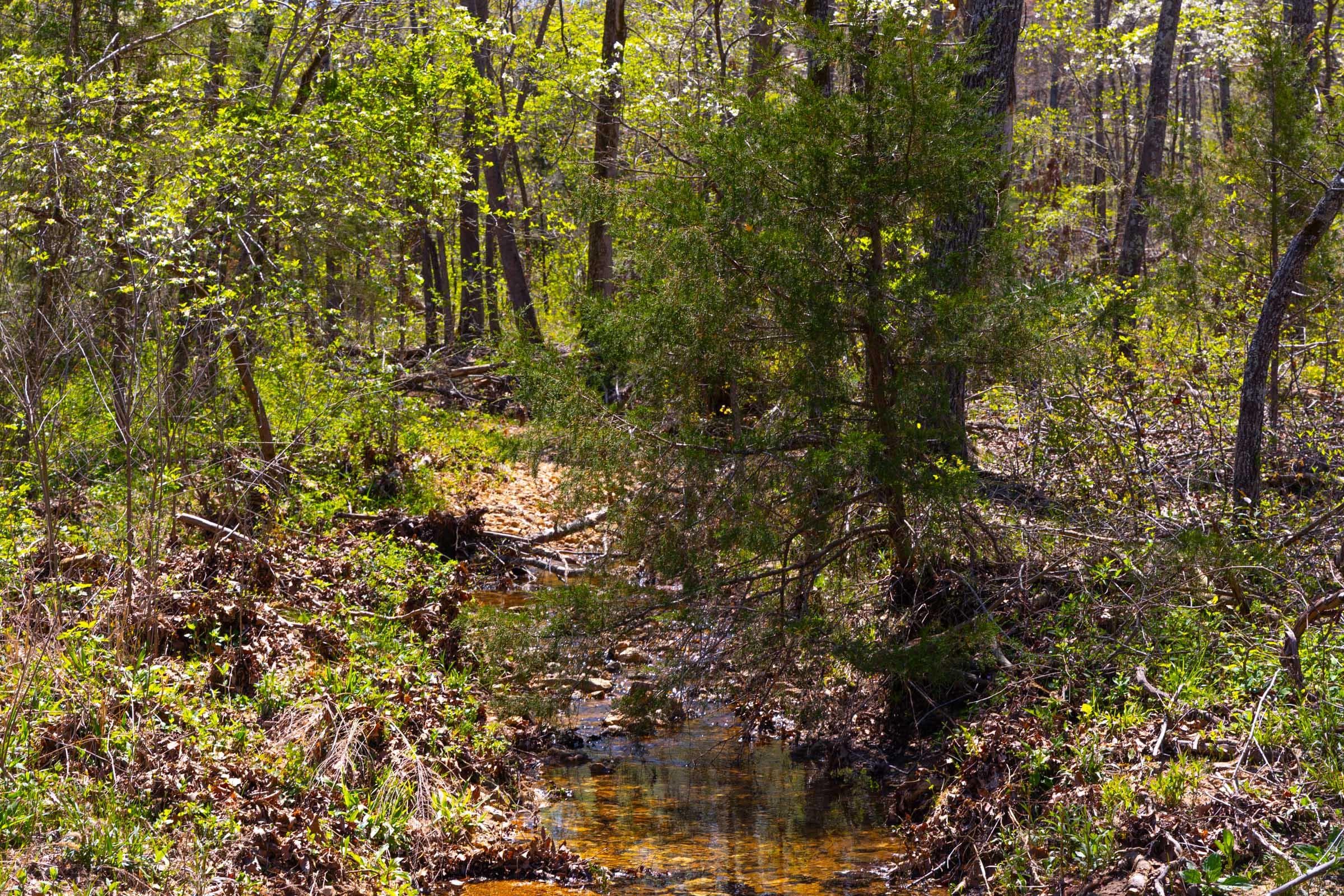 Lazybrook — Zero Credit Land owner financed land for sale in Fulton County, Arkansas photo 16
