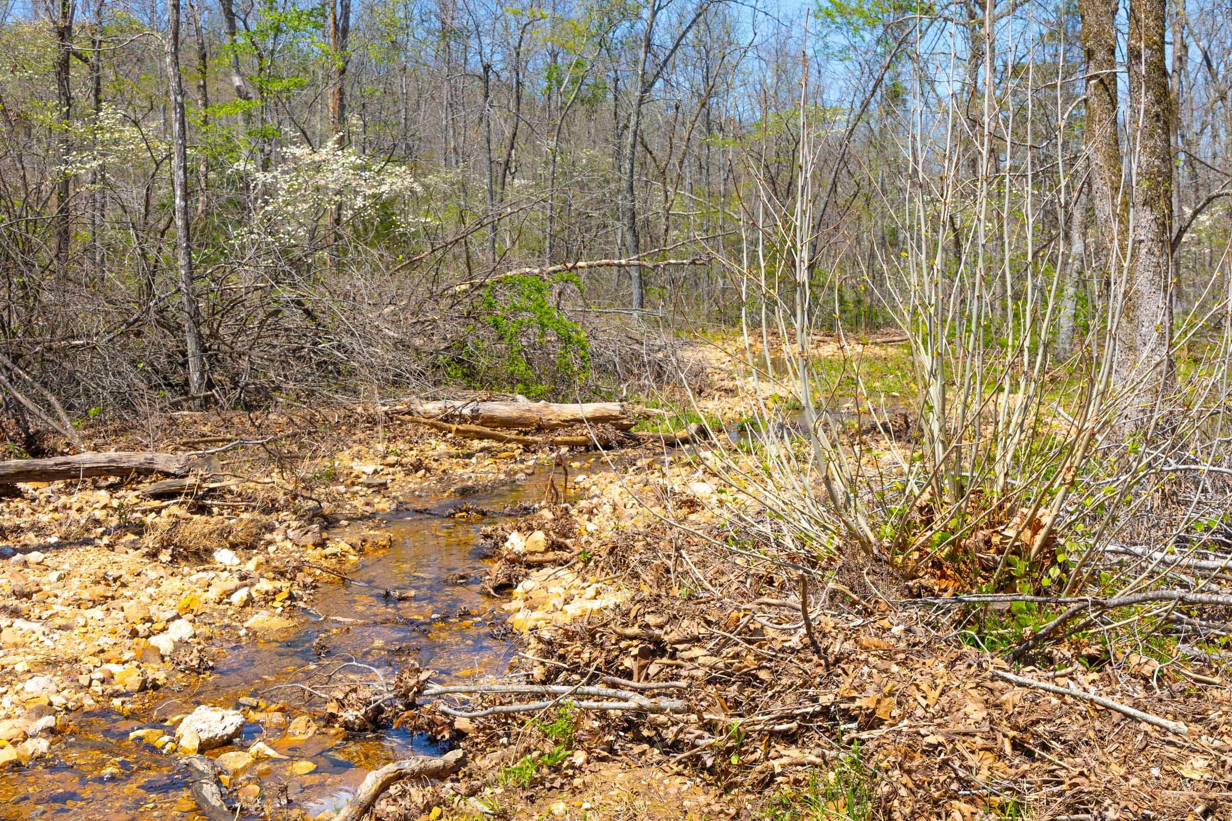 Lazybrook — Zero Credit Land owner financed land for sale in Fulton County, Arkansas photo 12