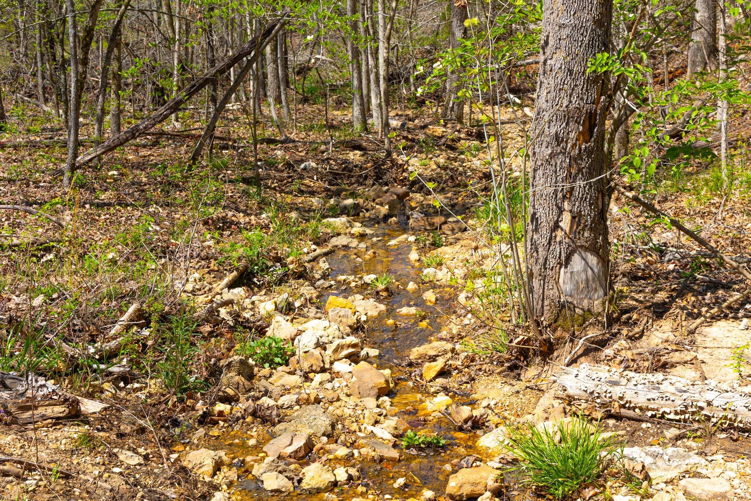 Lazybrook — Zero Credit Land owner financed land for sale in Fulton County, Arkansas photo 11