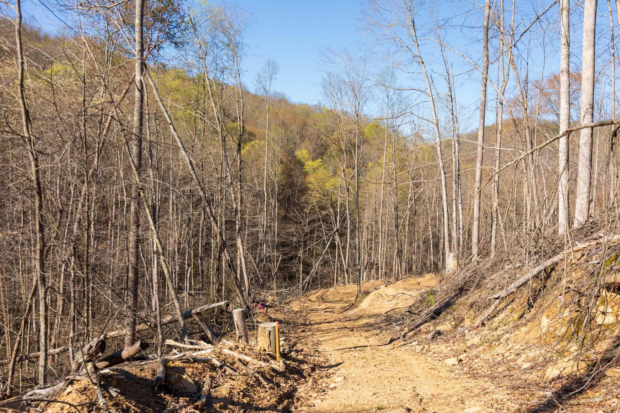 Creek Hollow Phase 1 — Zero Credit Land owner financed land for sale in Rockcastle County, Kentucky photo 22