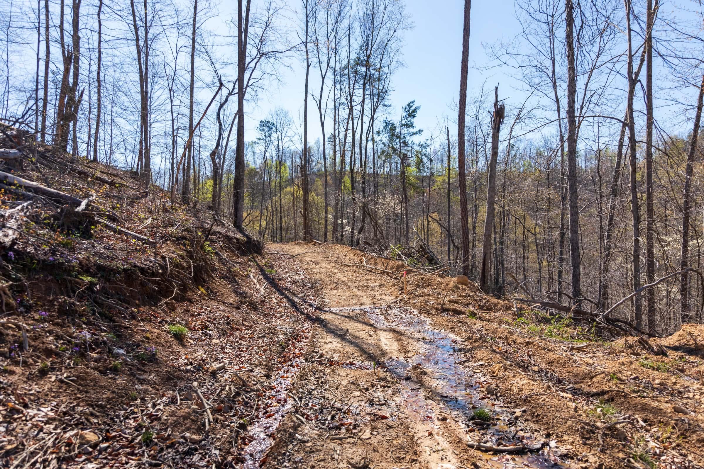 Creek Hollow Phase 1 — Zero Credit Land owner financed land for sale in Rockcastle County, Kentucky photo 25