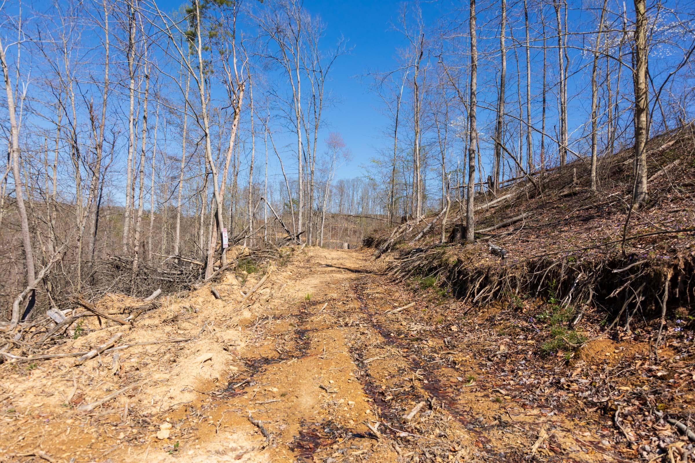 Creek Hollow Phase 1 — Zero Credit Land owner financed land for sale in Rockcastle County, Kentucky photo 26
