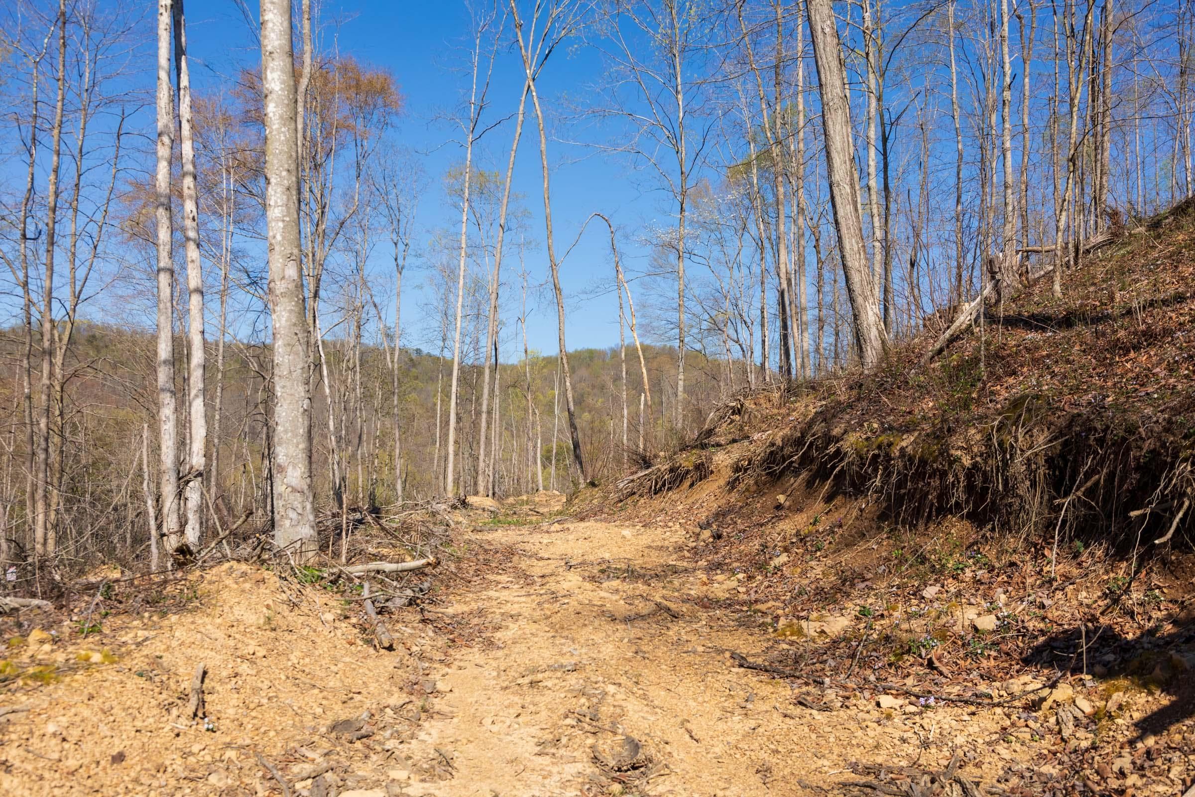 Creek Hollow Phase 1 — Zero Credit Land owner financed land for sale in Rockcastle County, Kentucky photo 19
