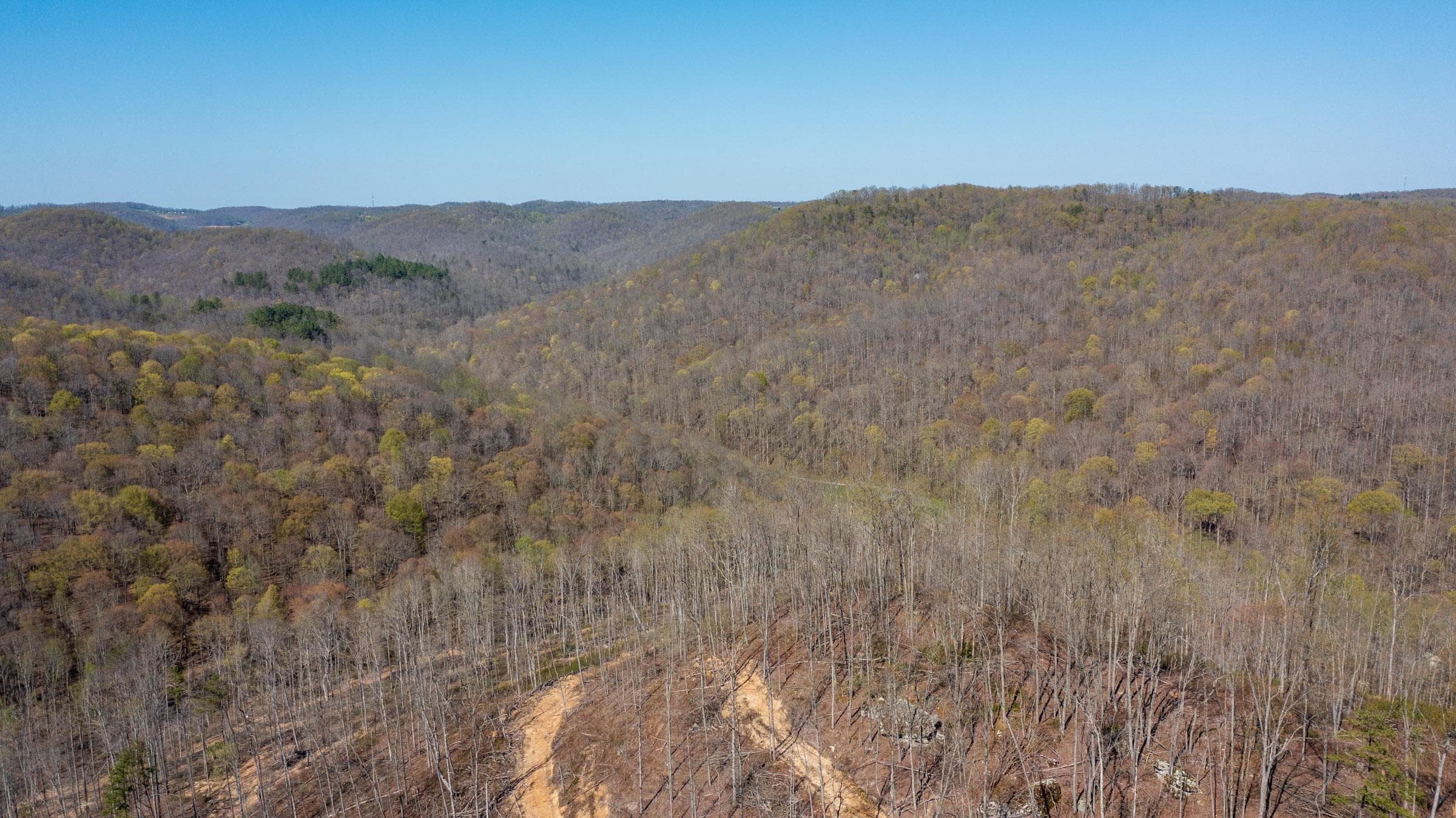 Creek Hollow Phase 1 — Zero Credit Land owner financed land for sale in Rockcastle County, Kentucky photo 18