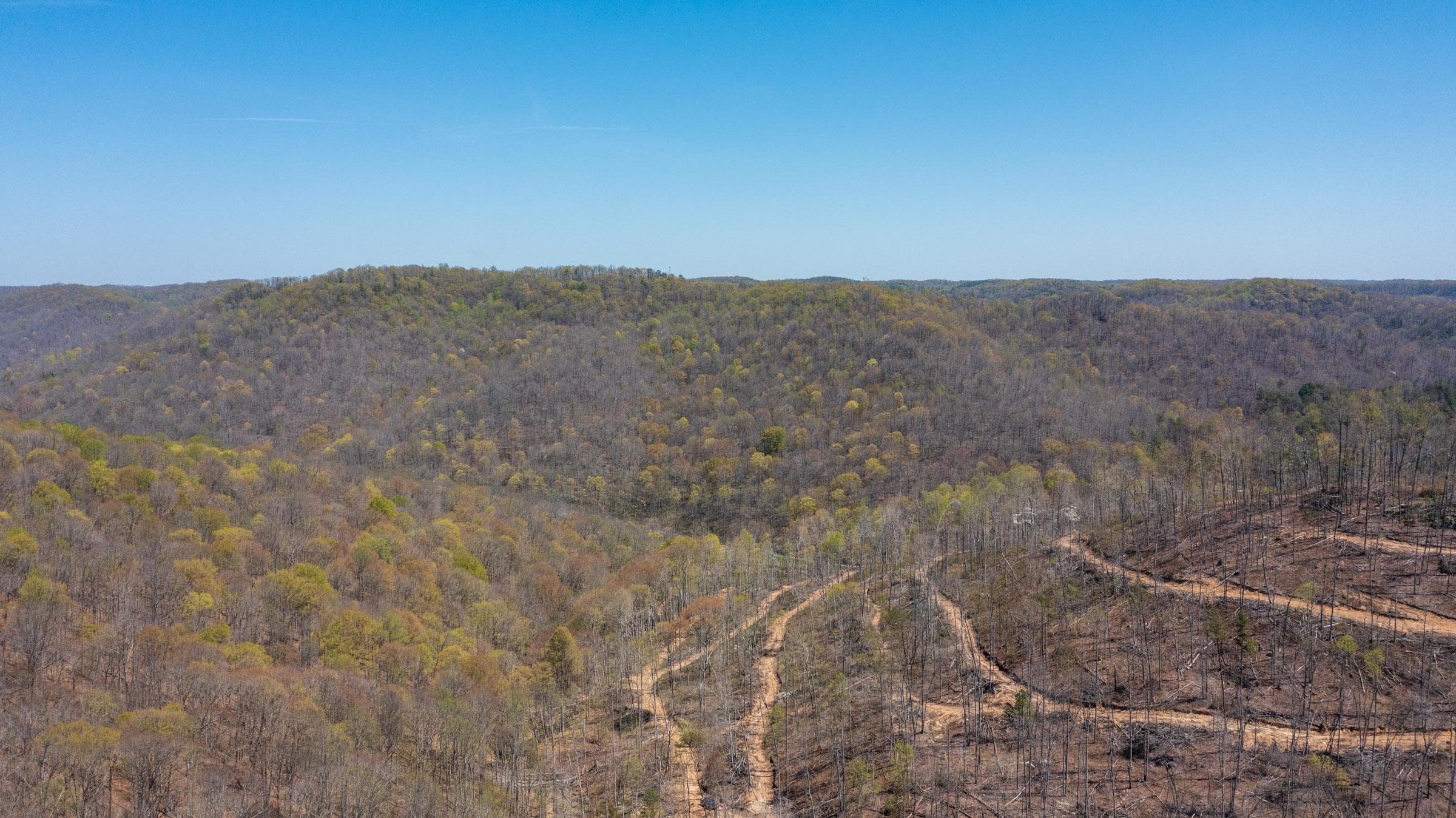 Creek Hollow Phase 1 — Zero Credit Land owner financed land for sale in Rockcastle County, Kentucky photo 16