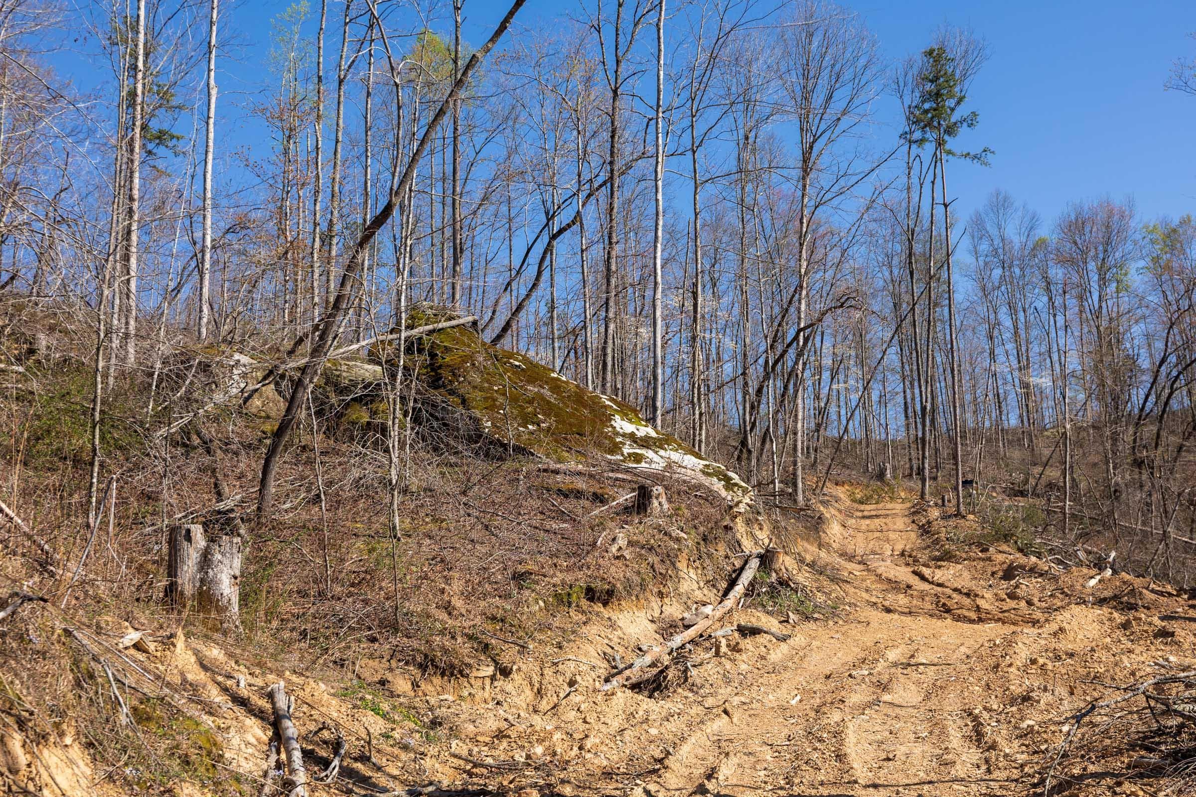 Creek Hollow Phase 1 — Zero Credit Land owner financed land for sale in Rockcastle County, Kentucky photo 20