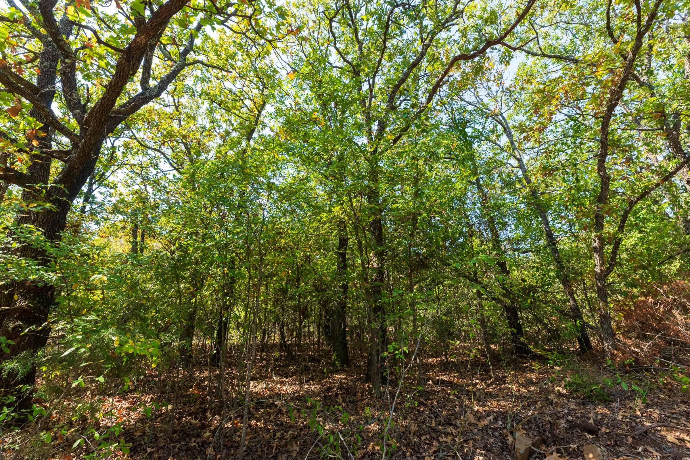 Canyon Creek — Zero Credit Land owner financed land for sale in Lincoln County, Oklahoma photo 21