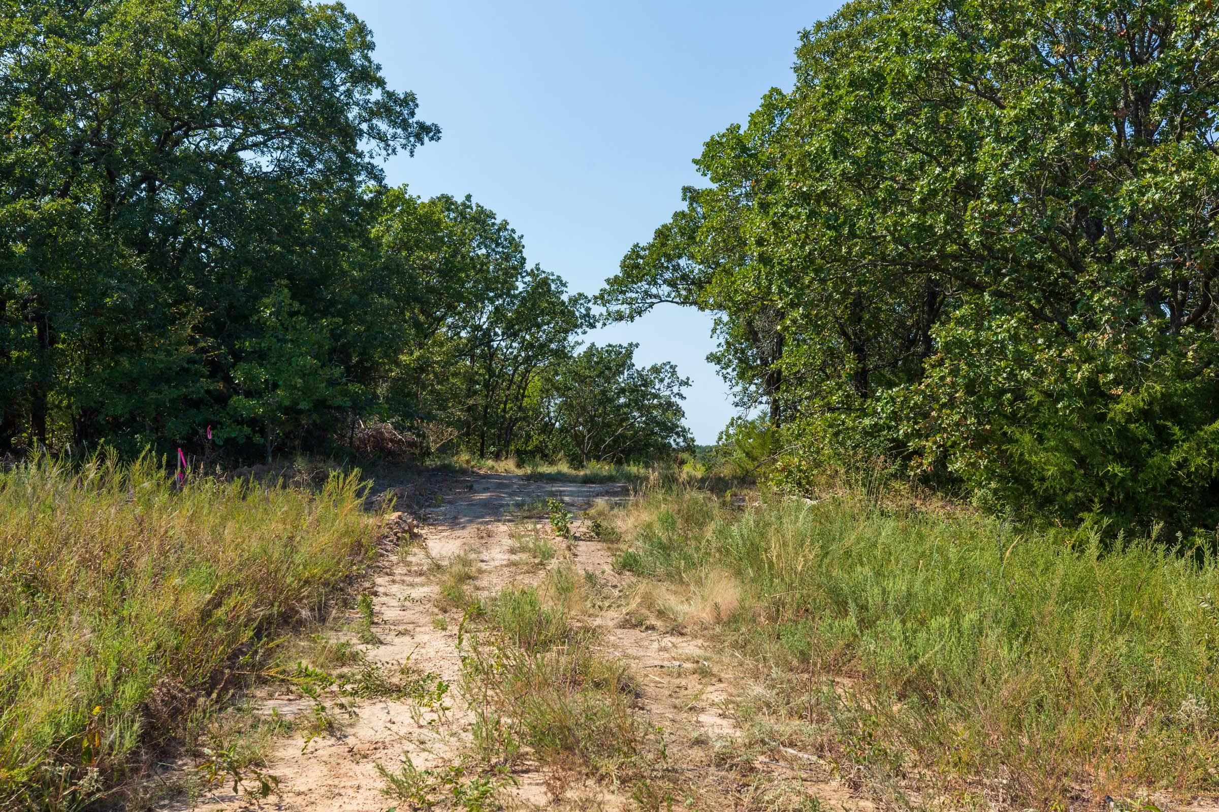 Canyon Creek — Zero Credit Land owner financed land for sale in Lincoln County, Oklahoma photo 23