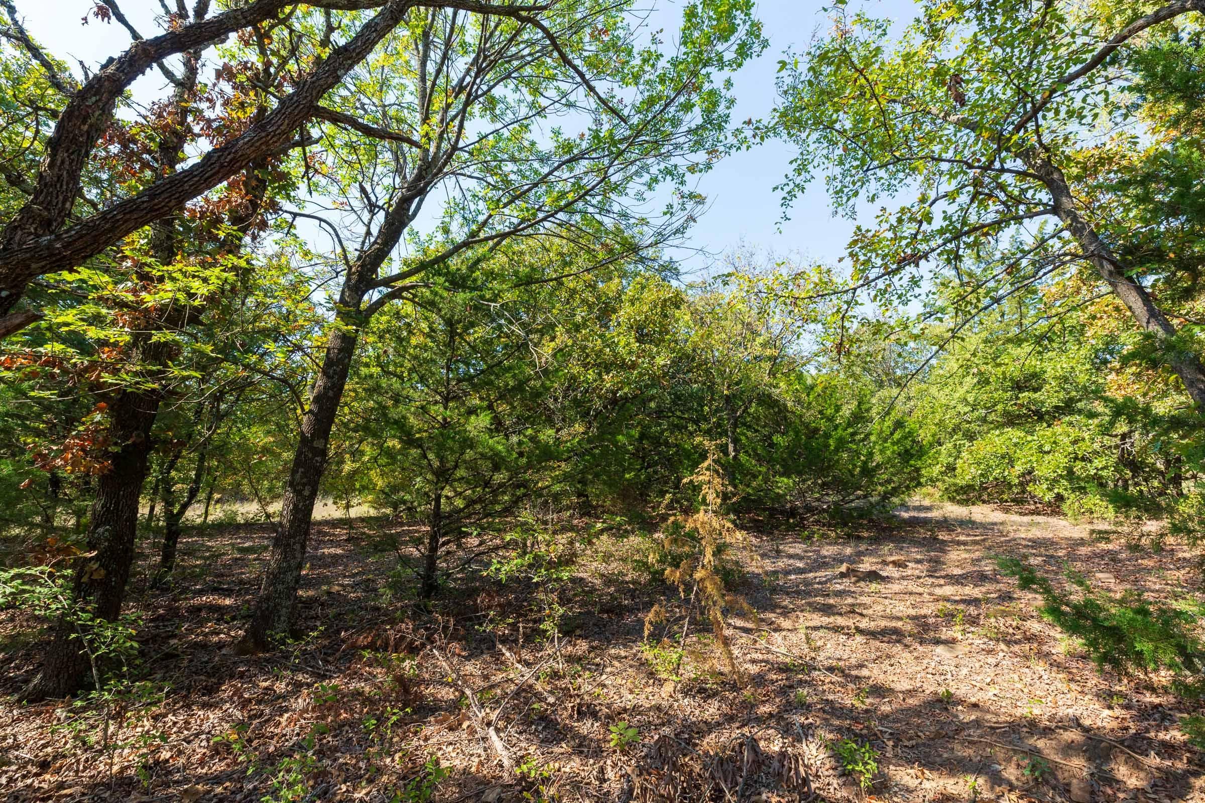 Canyon Creek — Zero Credit Land owner financed land for sale in Lincoln County, Oklahoma photo 19