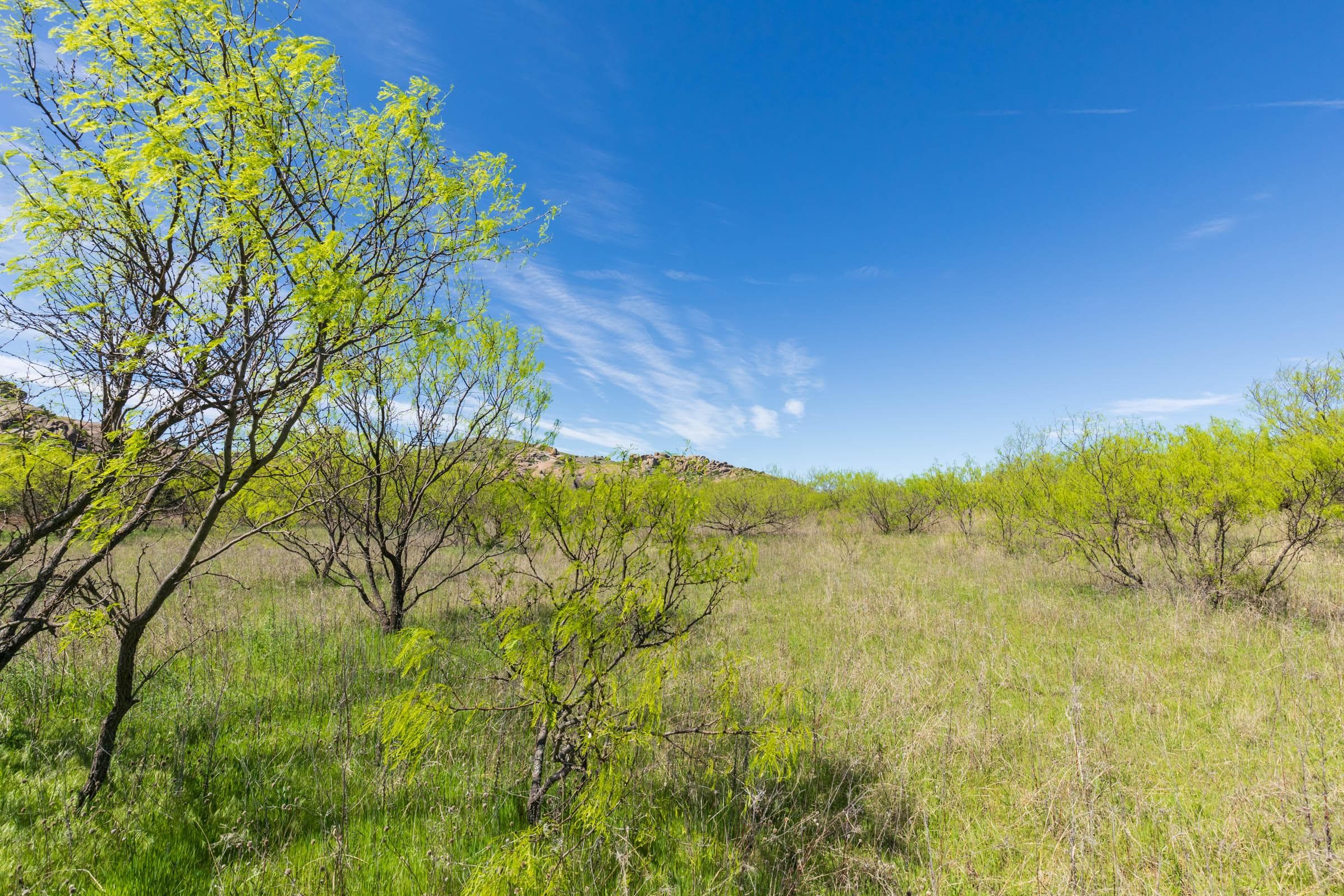 Hackberry Fields  — Zero Credit Land owner financed land for sale in Greer County, Oklahoma photo 47